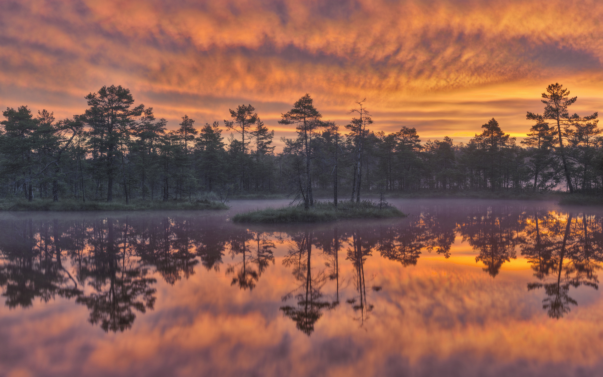 Descarga gratis la imagen Lago, Árbol, Suecia, Atardecer, Tierra/naturaleza, Reflejo en el escritorio de tu PC