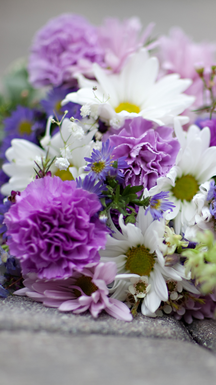 Descarga gratuita de fondo de pantalla para móvil de Flores, Flor, Tierra/naturaleza.