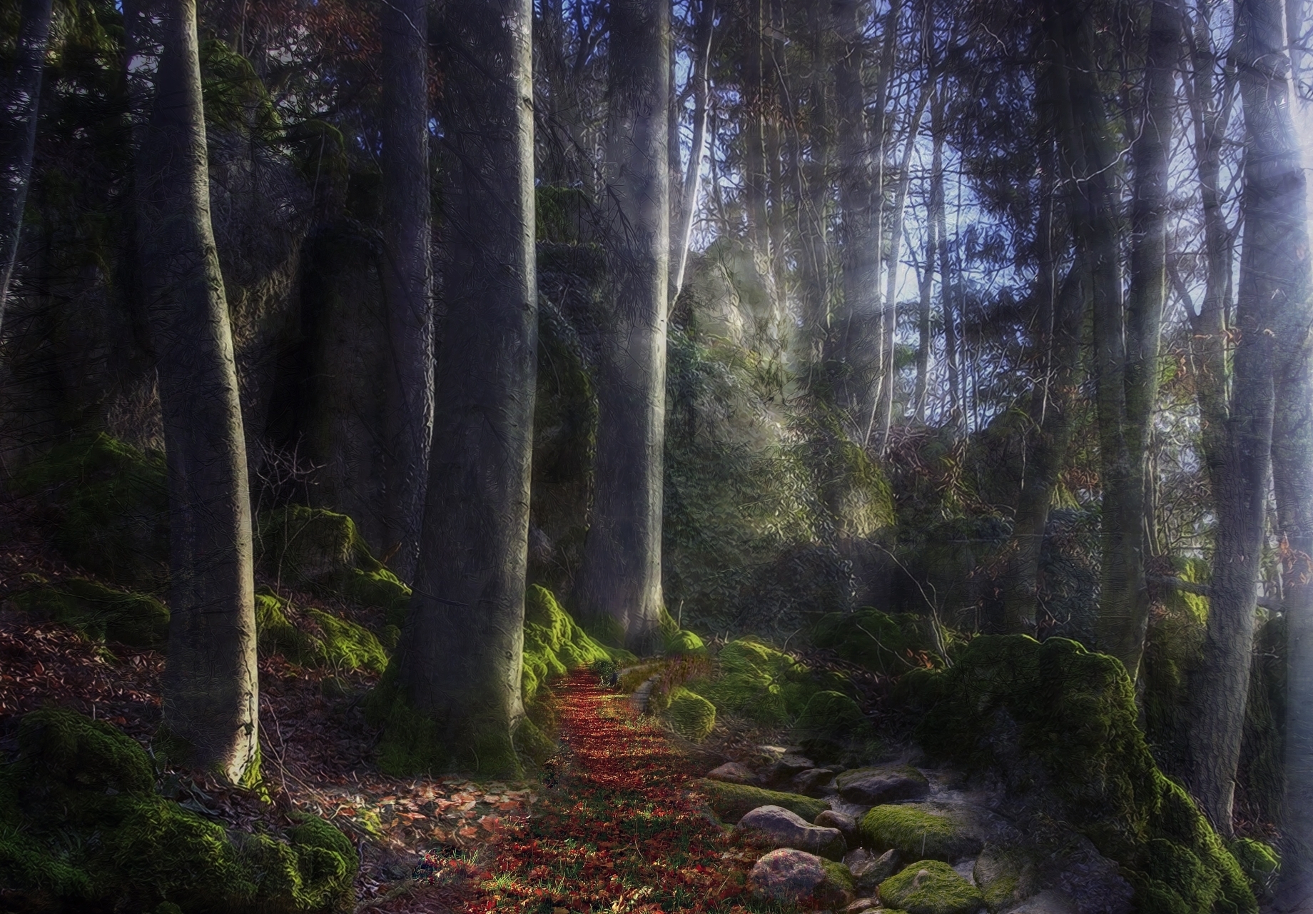 mysterious, shine, track, nature, stones, sun, light, beams, rays, forest, path, moss