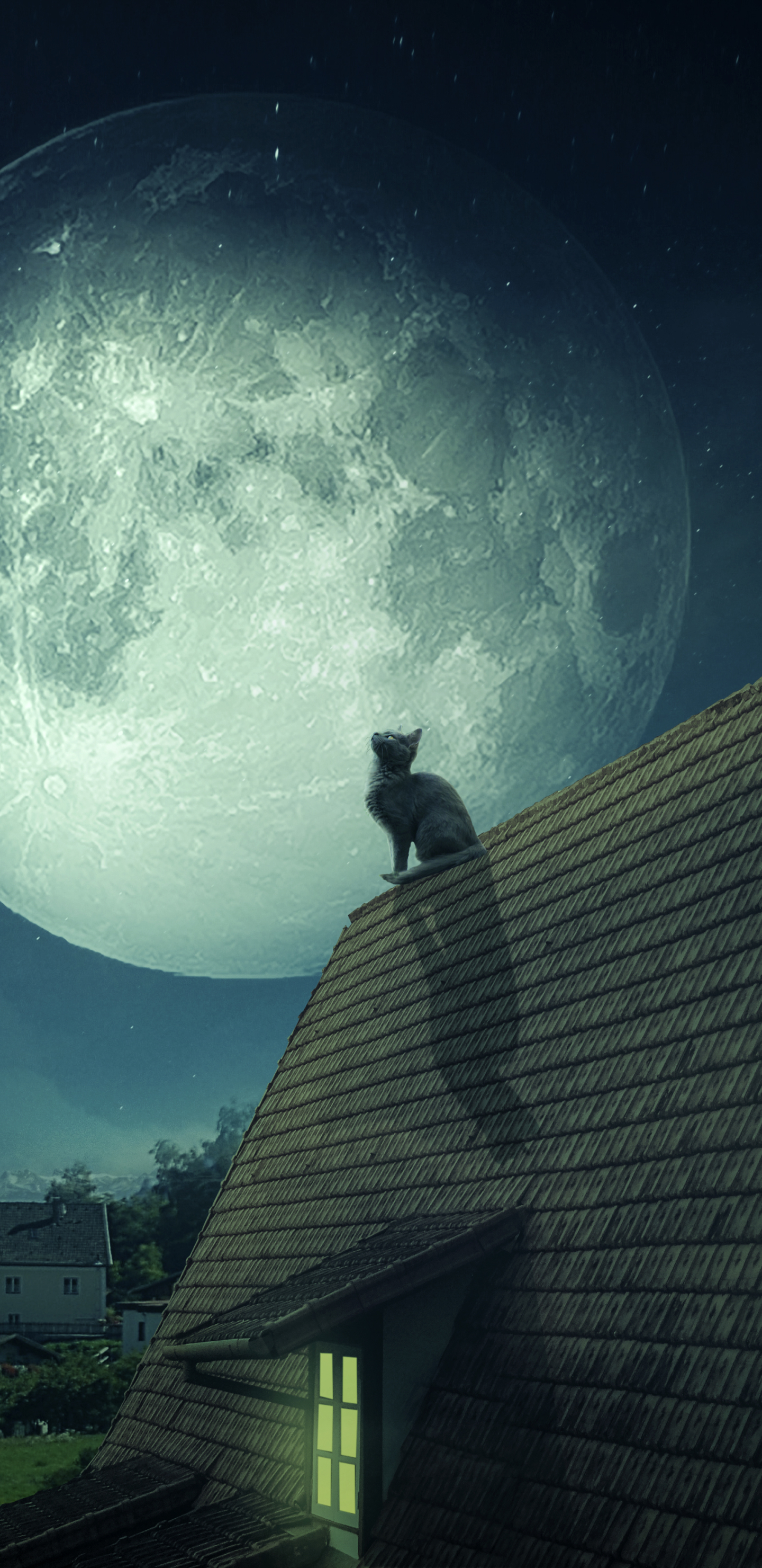 Скачать обои бесплатно Животные, Ночь, Луна, Кошка, Кошки картинка на рабочий стол ПК