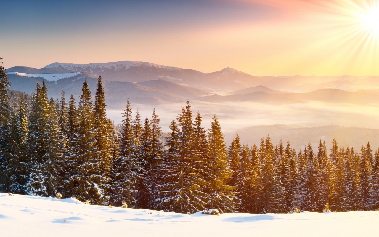 無料モバイル壁紙自然, 木, オレンジ, 雪, 冬, 風景をダウンロードします。
