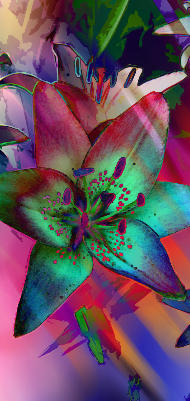Download mobile wallpaper Flowers, Flower, Colors, Lily, Artistic for free.