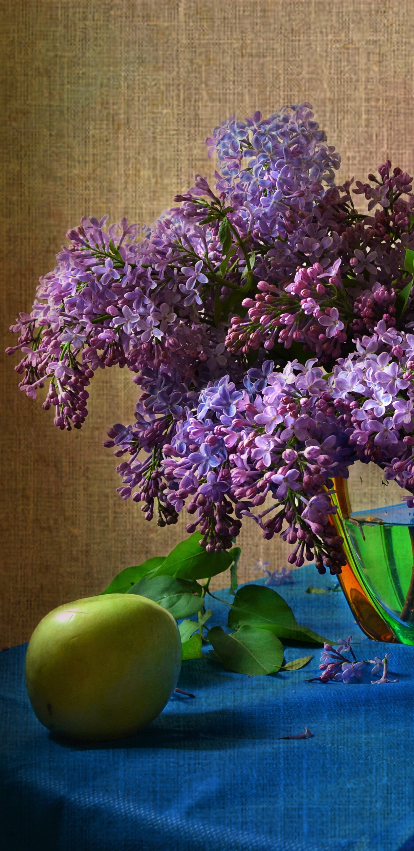 Handy-Wallpaper Vase, Apfel, Fotografie, Pinke Blume, Stillleben kostenlos herunterladen.