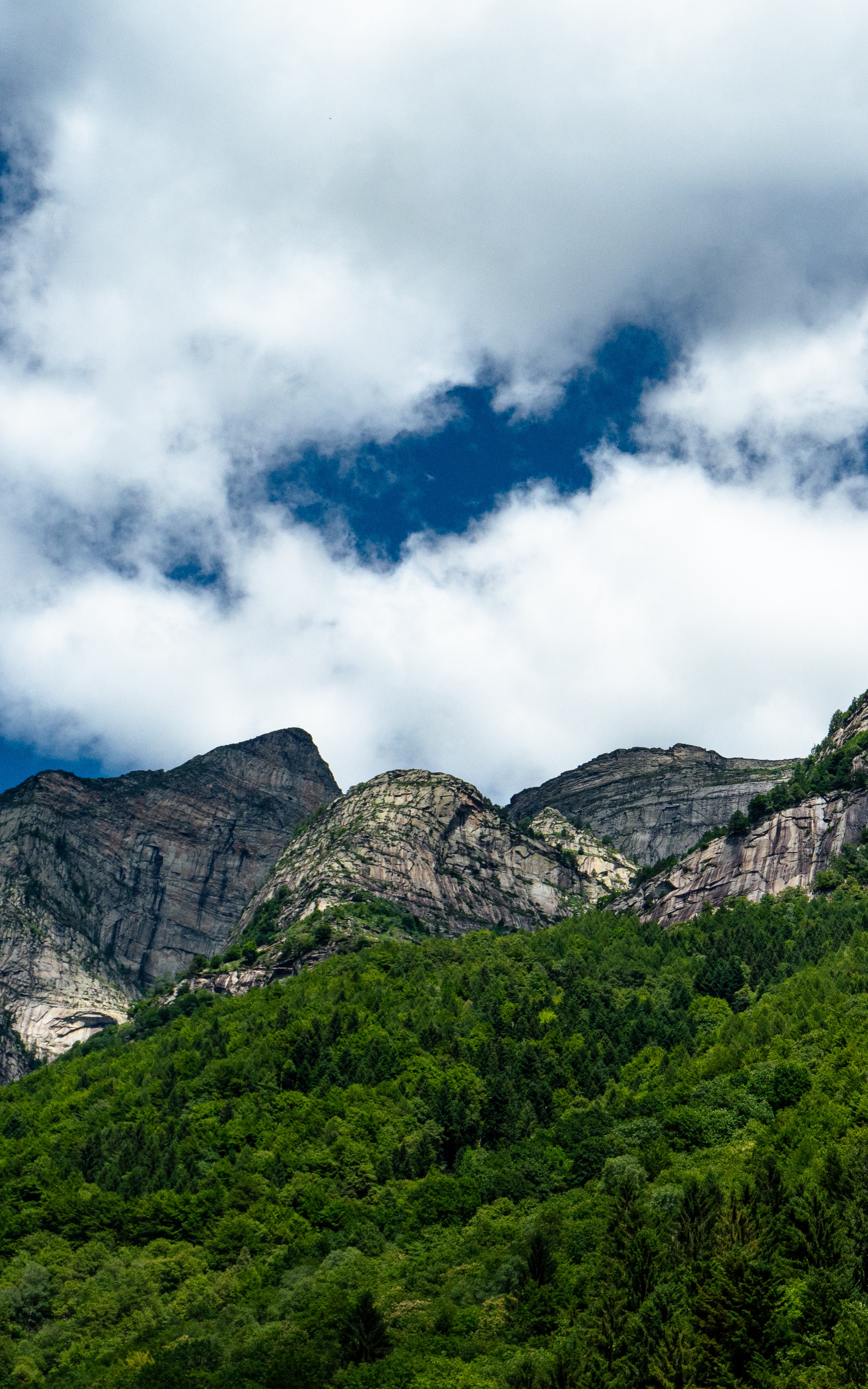 無料モバイル壁紙自然, 木, 雲, ブッシュ, 山をダウンロードします。