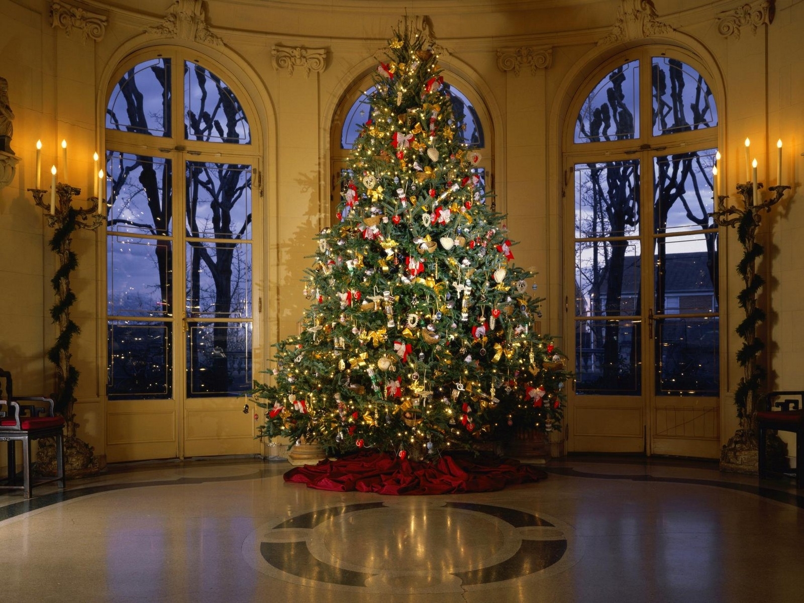 christmas xmas, holidays, new year, fir trees 4K Ultra