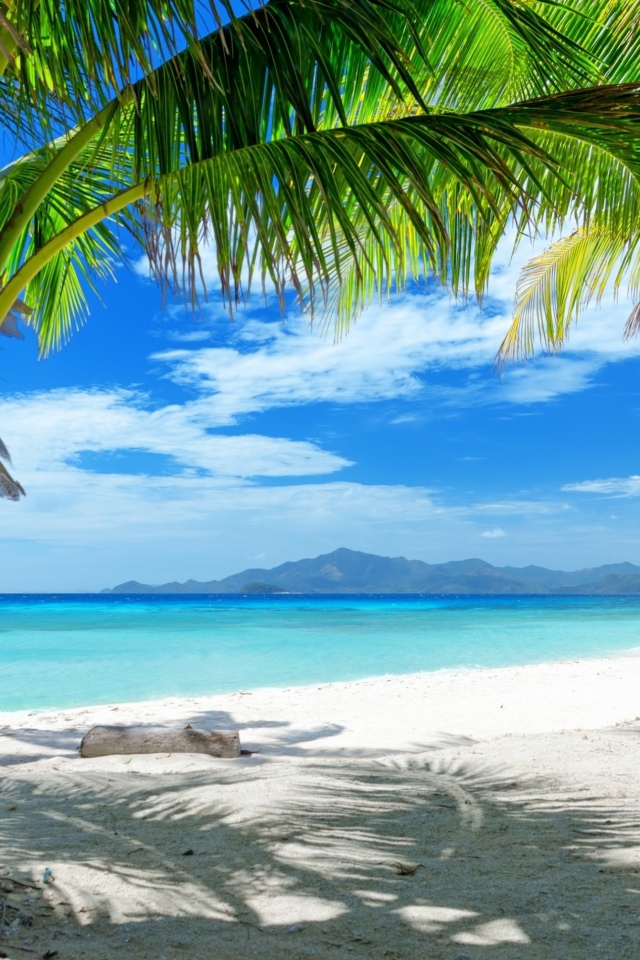 Descarga gratuita de fondo de pantalla para móvil de Cielo, Playa, Zona Tropical, Tierra/naturaleza, Tropico.
