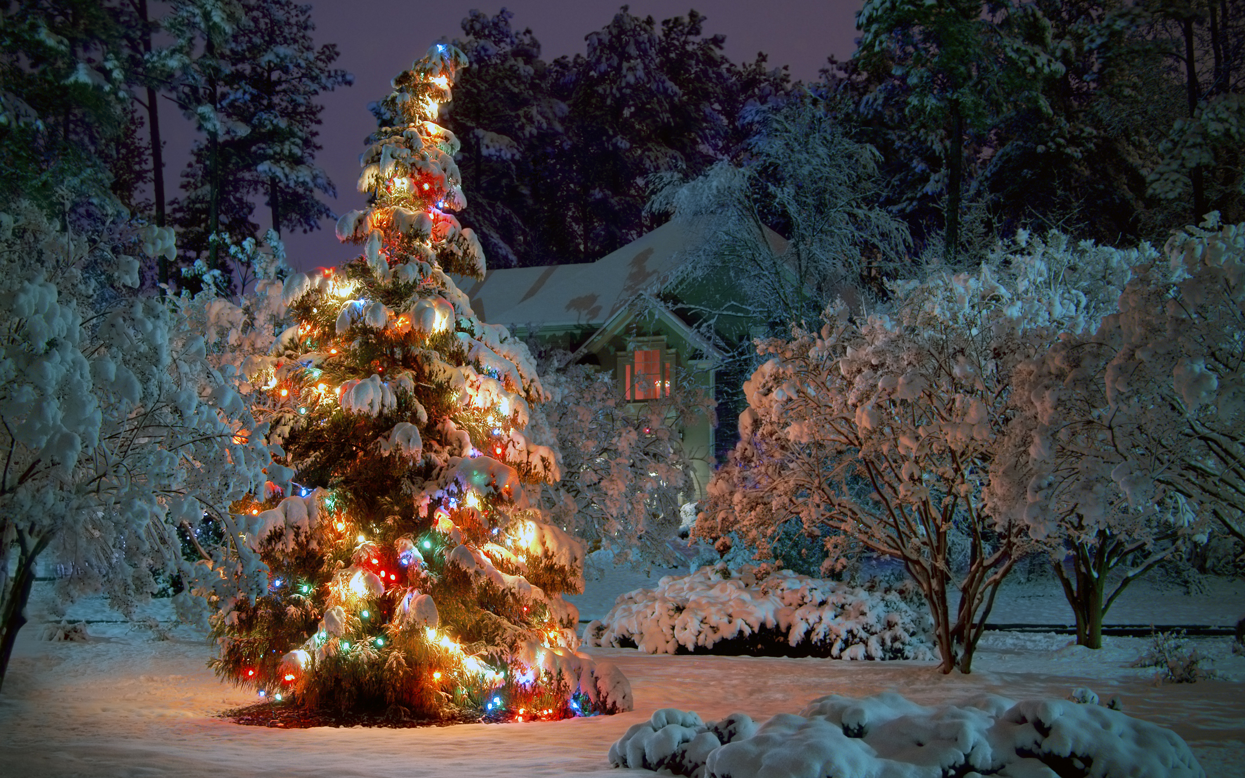 215630画像をダウンロードクリスマス, ホリデー, クリスマスのあかり, クリスマスツリー-壁紙とスクリーンセーバーを無料で