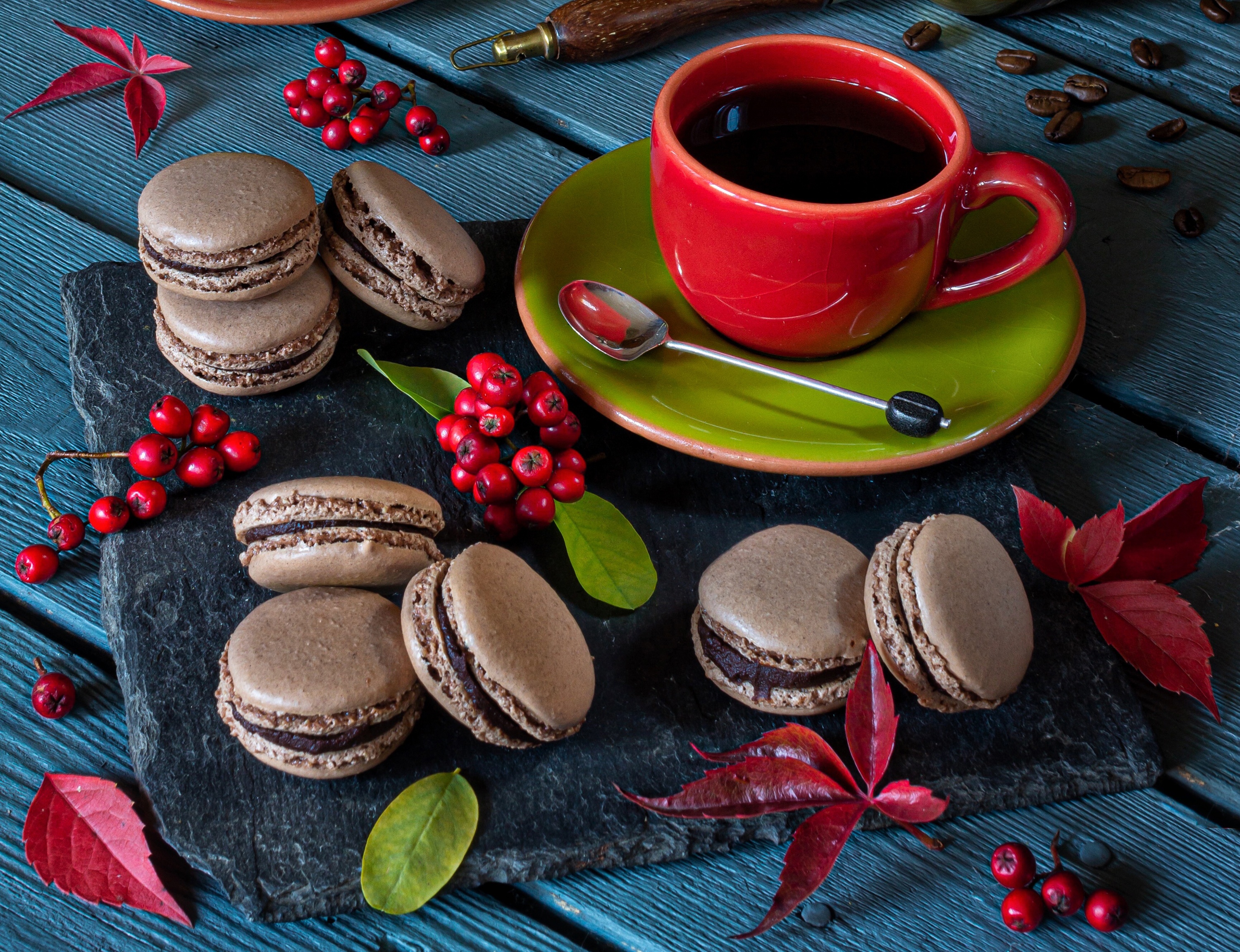 Free download wallpaper Food, Coffee, Still Life, Cup, Macaron on your PC desktop
