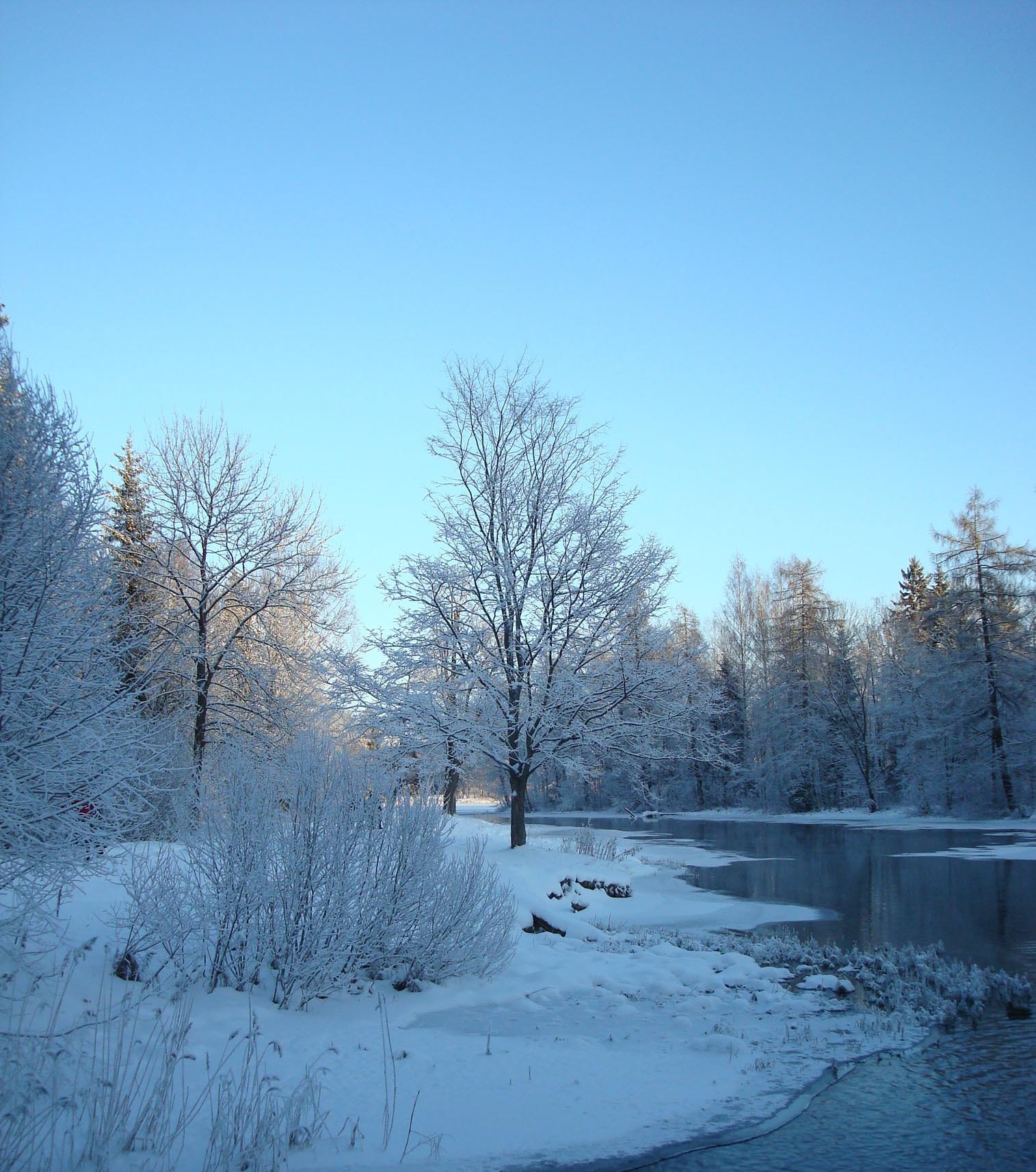 Скачать обои бесплатно Снег, Деревья, Река, Пейзаж, Зима картинка на рабочий стол ПК
