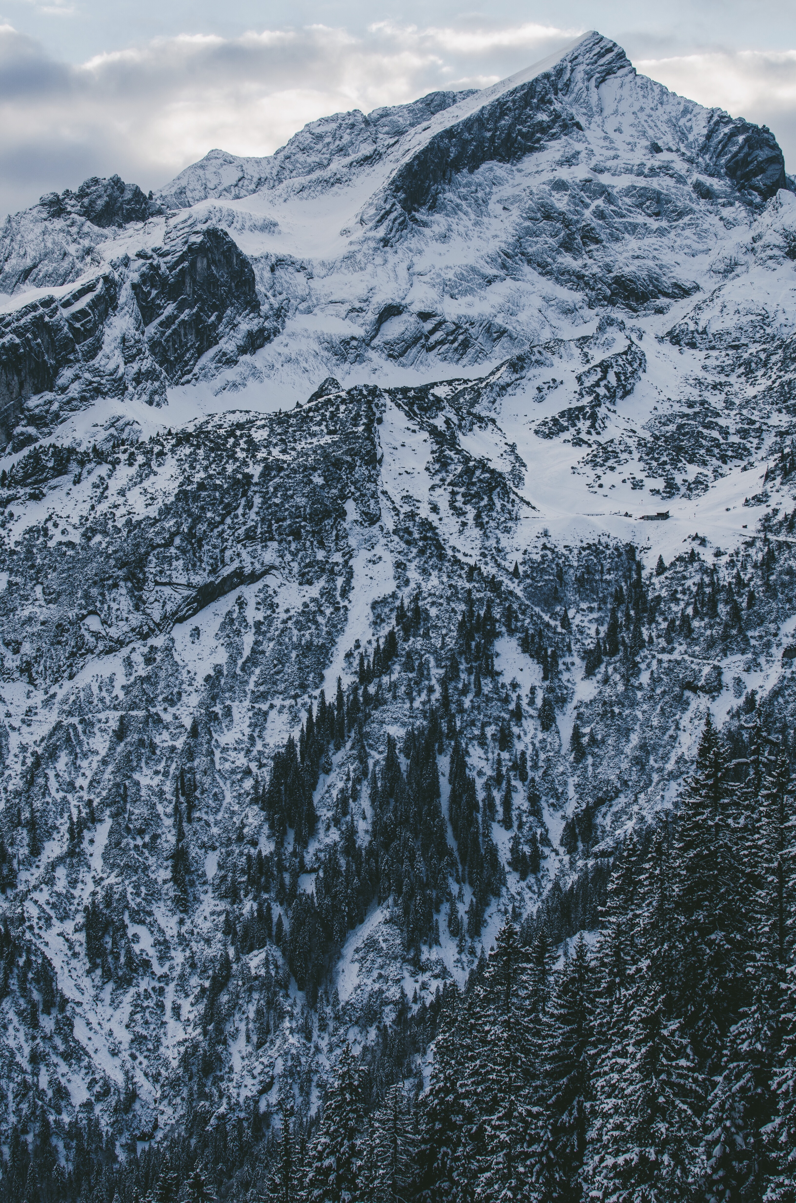 Handy-Wallpaper Scheitel, Nach Oben, Schneebedeckt, Snowbound, Bäume, Sky, Mountains, Clouds, Schnee, Natur kostenlos herunterladen.