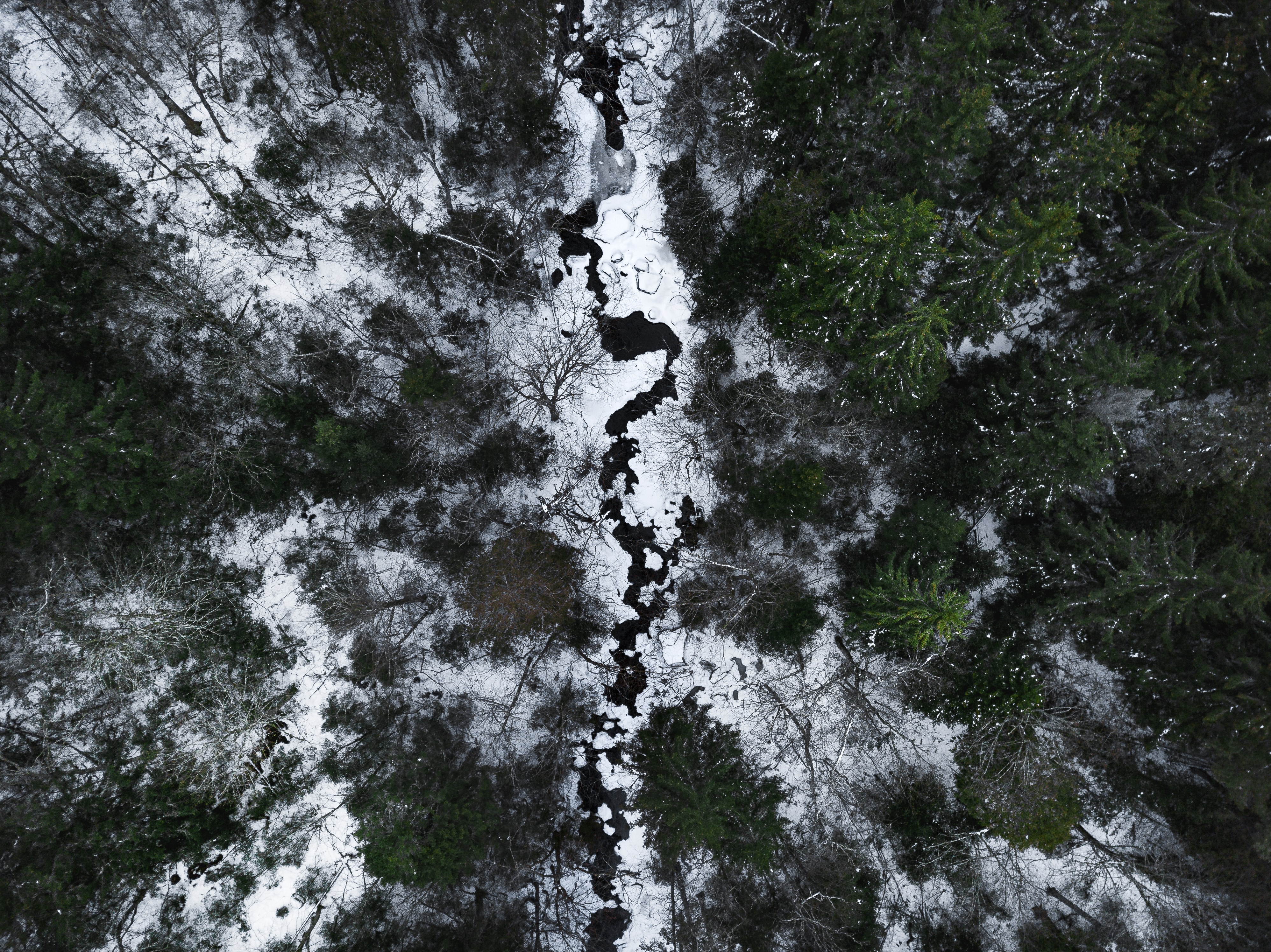 Скачать картинку Вид Сверху, Река, Снег, Лес, Природа, Зима в телефон бесплатно.