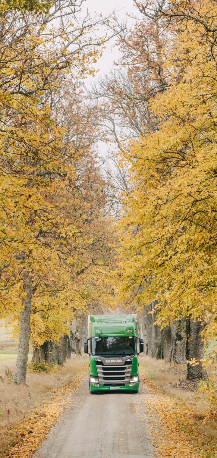 Download mobile wallpaper Fall, Vehicles, Scania, Scania R 450, Semis for free.