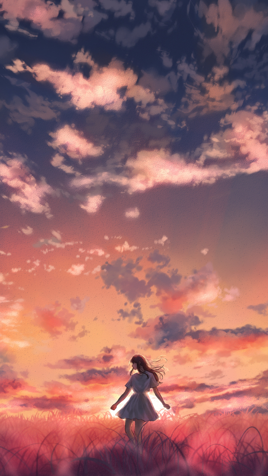 Download mobile wallpaper Anime, Sunset, Sky, Girl for free.