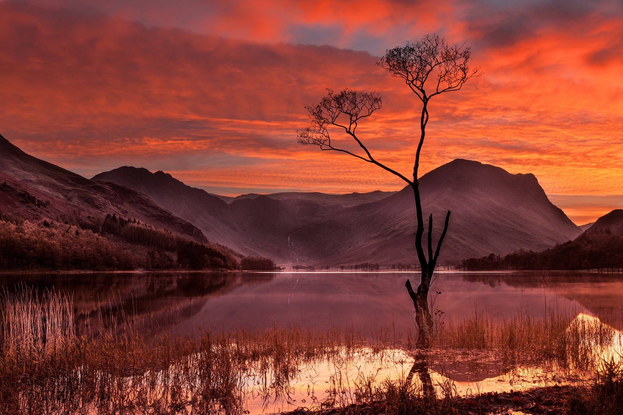 Descarga gratis la imagen Montaña, Árbol, Atardecer, Tierra/naturaleza, Color Naranja) en el escritorio de tu PC