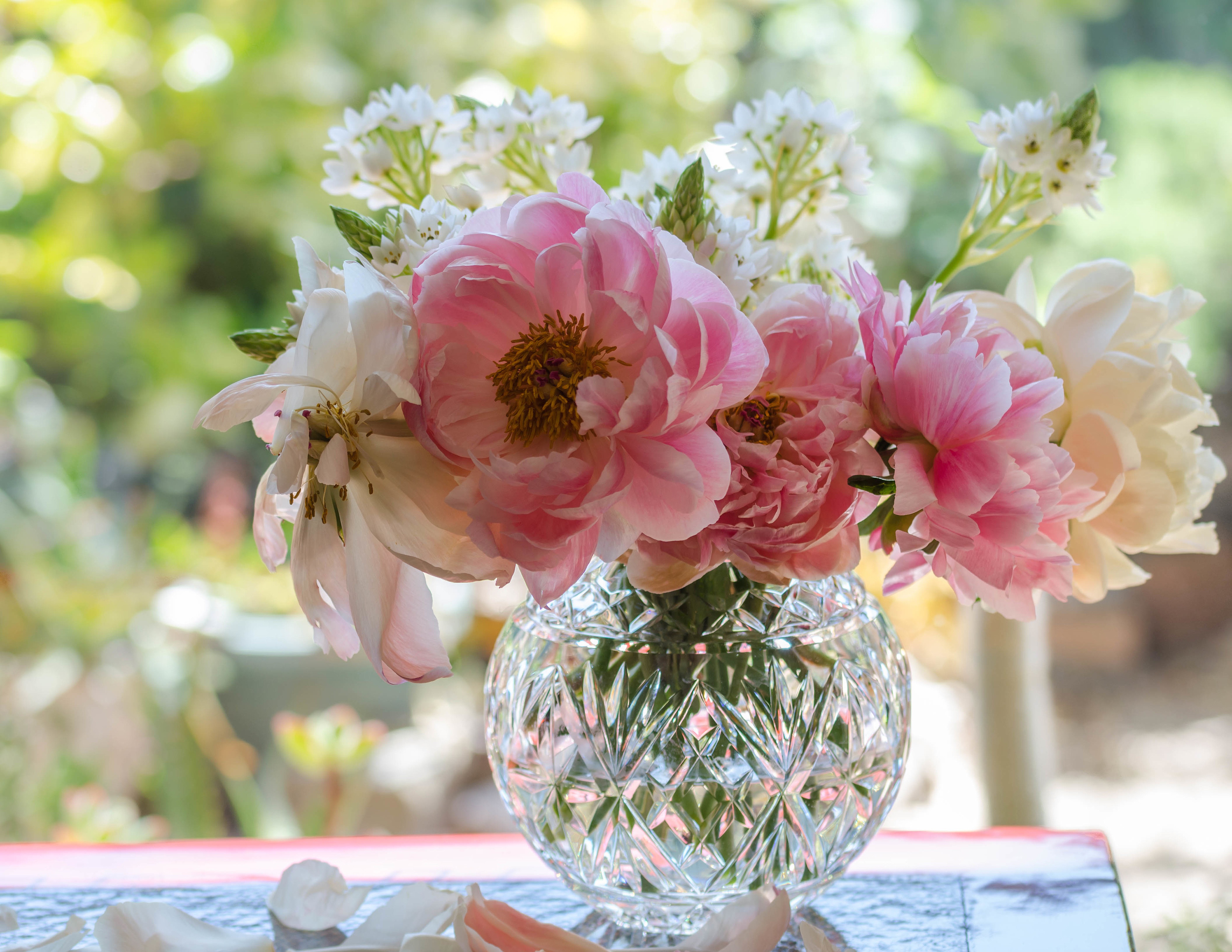 Download mobile wallpaper Flower, Bouquet, Vase, Petal, Peony, Man Made for free.