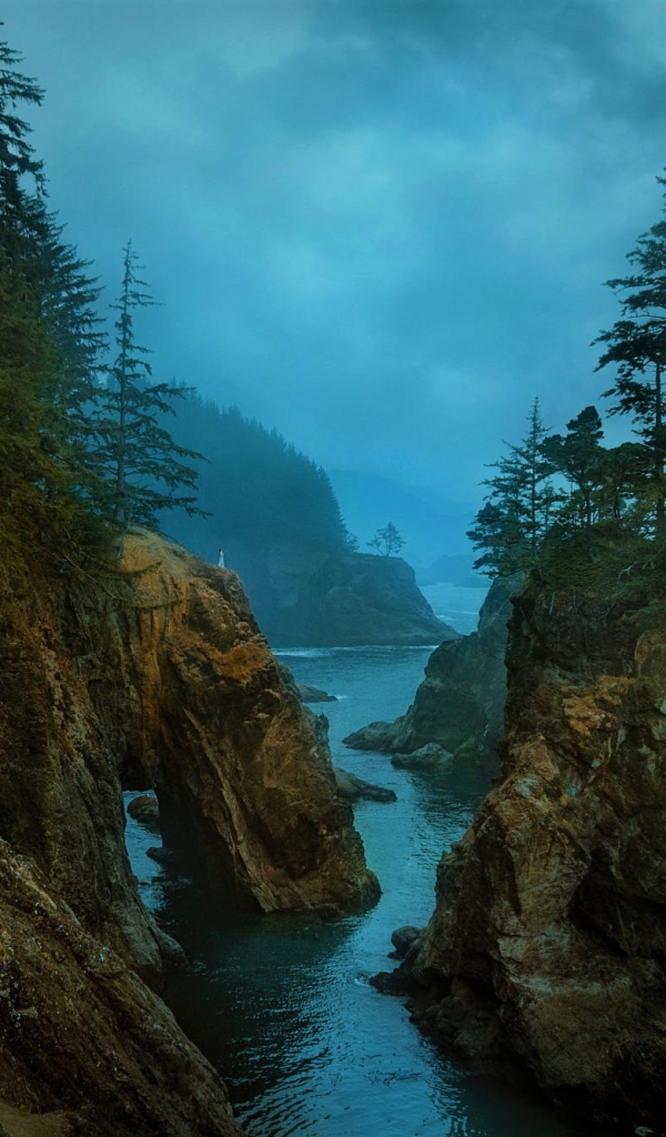 Download mobile wallpaper Nature, Coast, Tree, Earth, Cliff, Coastline, Oregon for free.