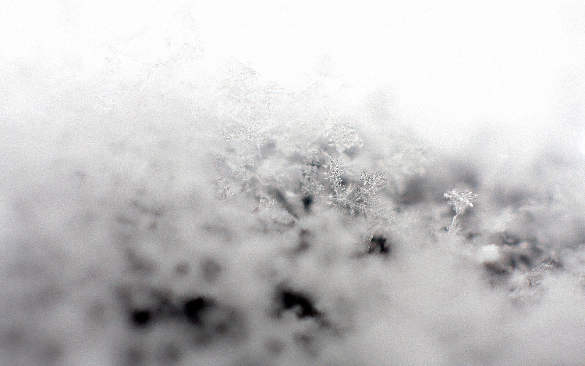 Horizontal Wallpaper macro, snow, snowflakes, light, light coloured