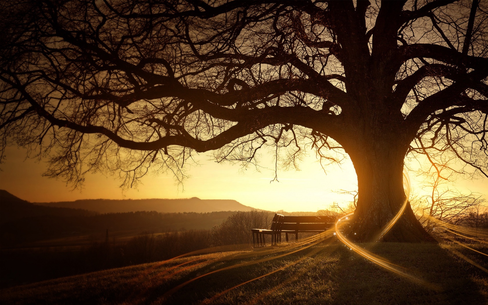 Free download wallpaper Trees, Sunset, Art Photo, Landscape on your PC desktop