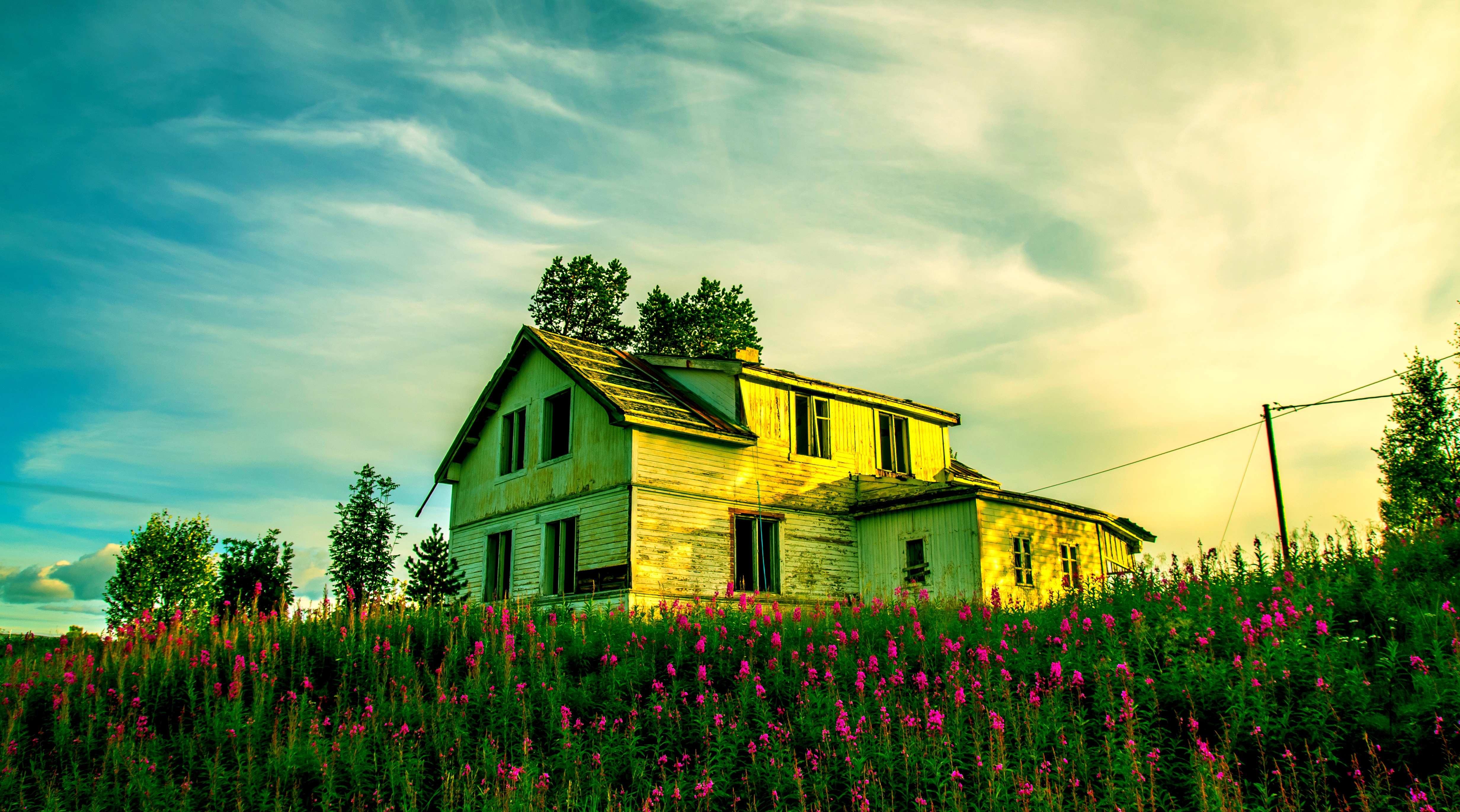 Download mobile wallpaper Grass, Flower, House, Field, Hdr, Photography, Abandoned for free.