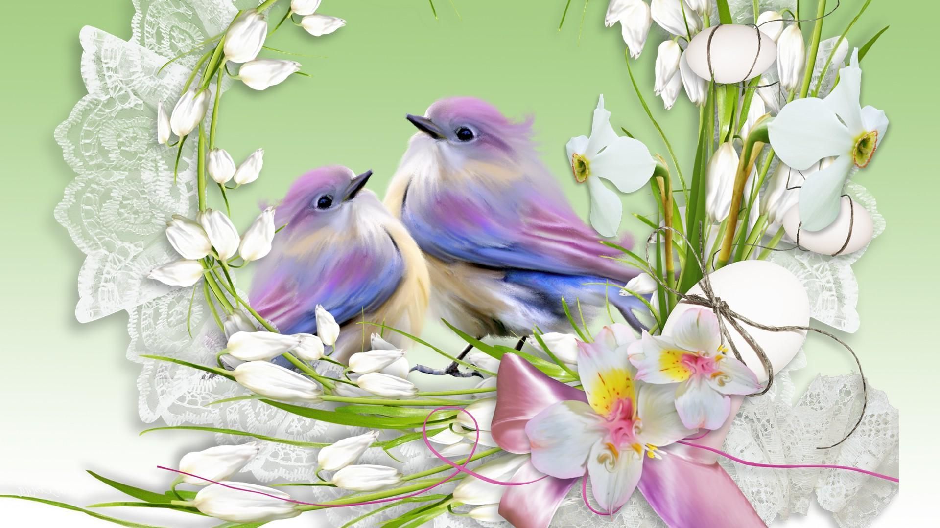385616壁紙のダウンロード動物, 鳥, ネスト, 春-スクリーンセーバーと写真を無料で