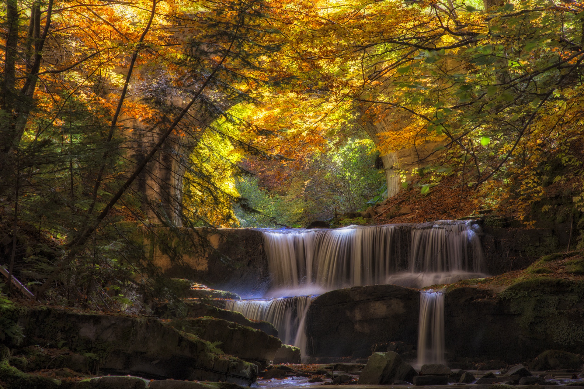 Download mobile wallpaper Nature, Waterfalls, Waterfall, Forest, Fall, Earth, River for free.