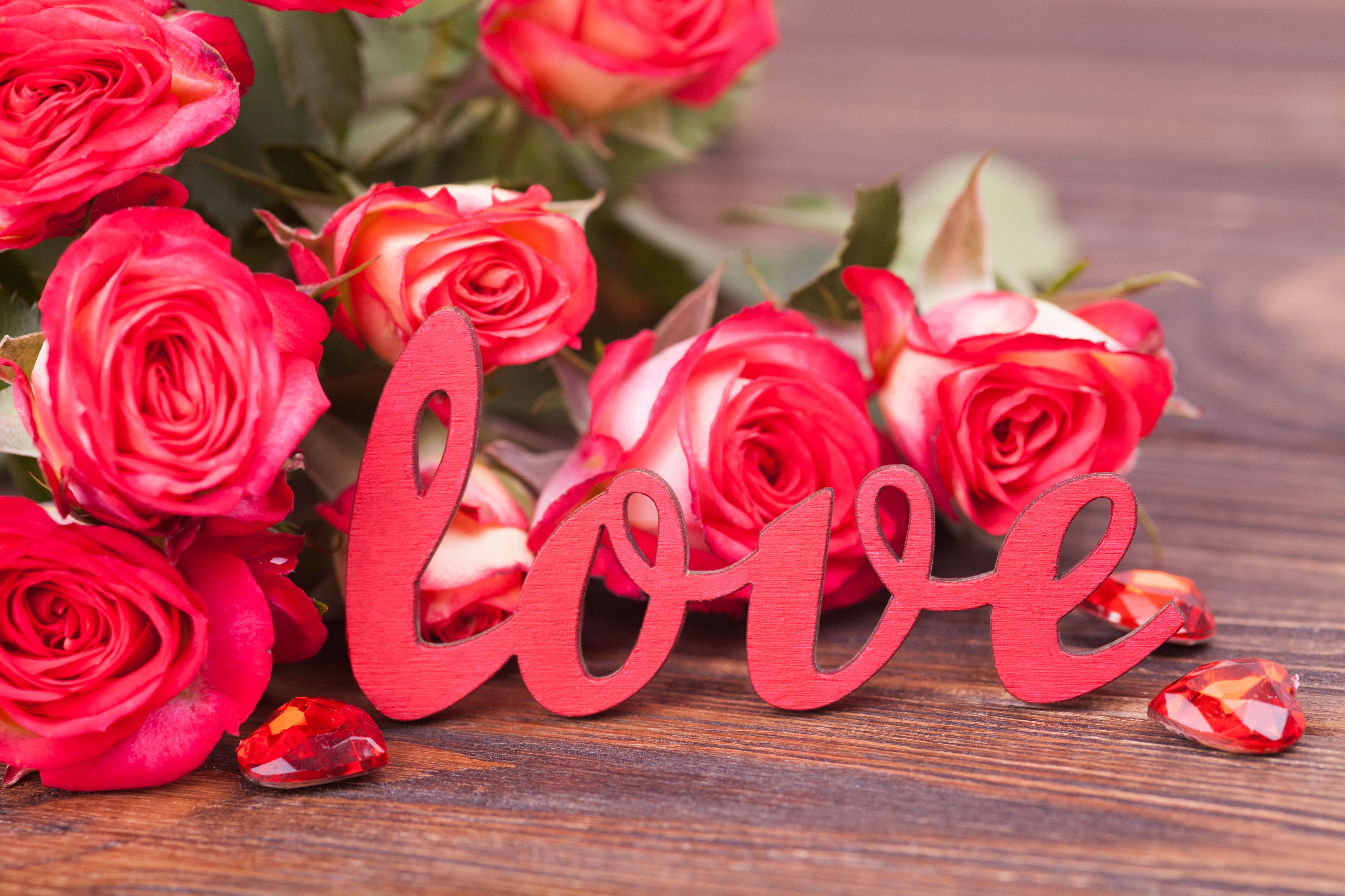 Download mobile wallpaper Valentine's Day, Love, Flower, Rose, Holiday for free.