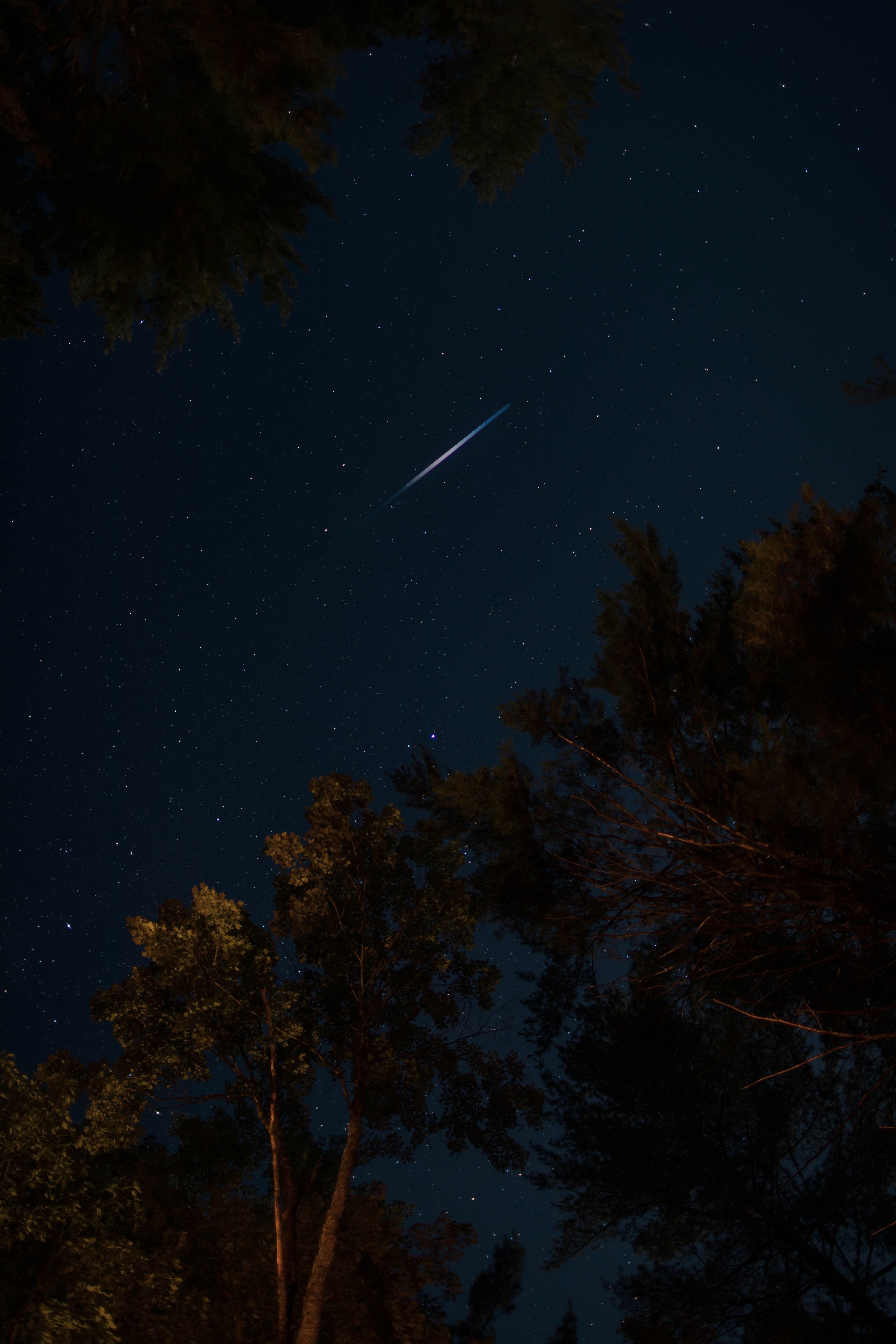 night, trees, stars, dark, starry sky desktop HD wallpaper