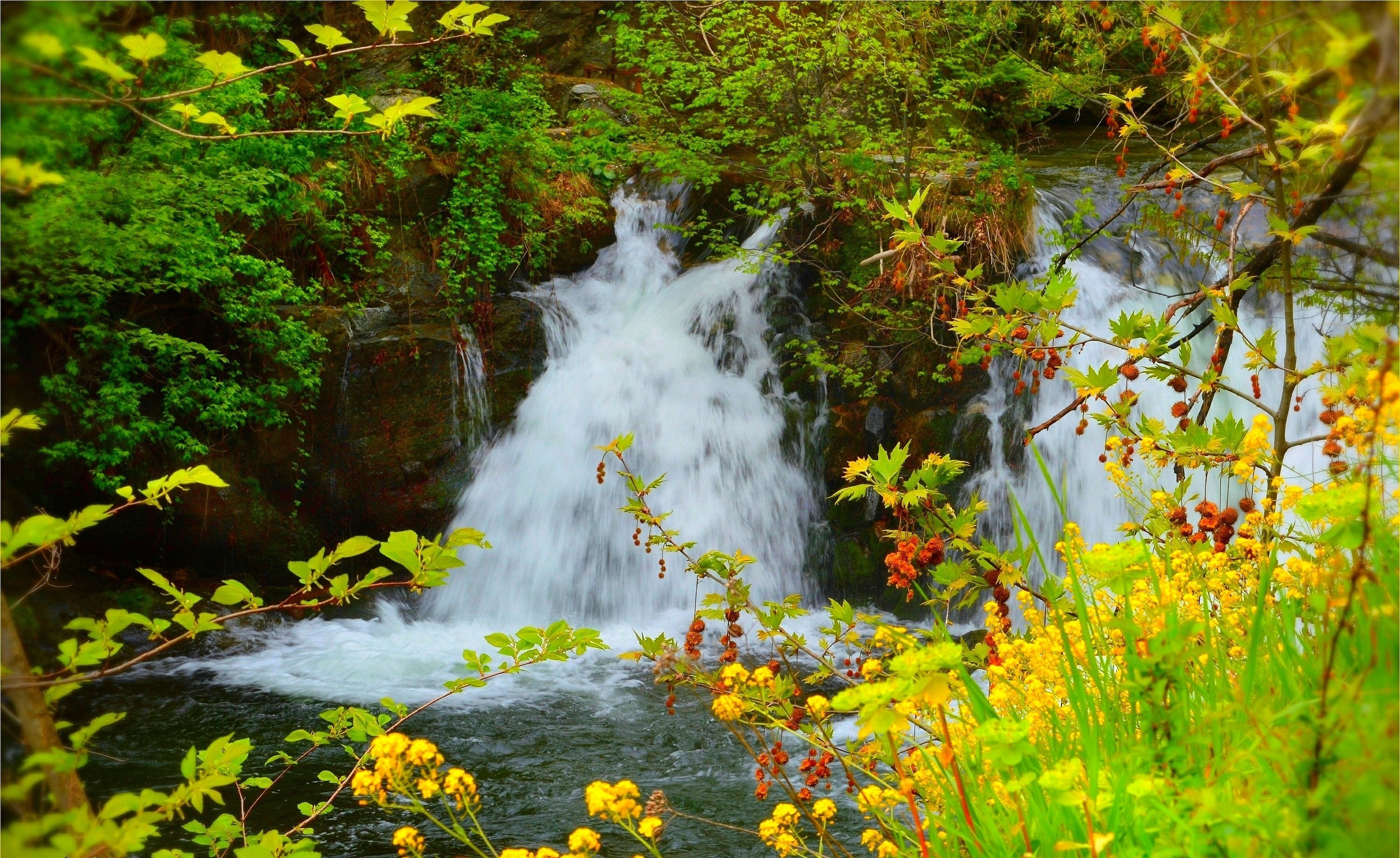 Скачать картинку Водопады, Цветок, Водопад, Лес, Весна, Земля/природа в телефон бесплатно.