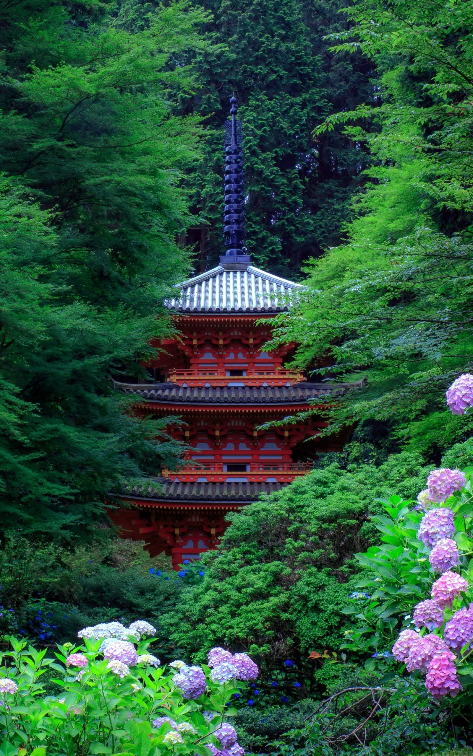 Download mobile wallpaper Pagoda, Garden, Japan, Hydrangea, Purple Flower, Man Made for free.
