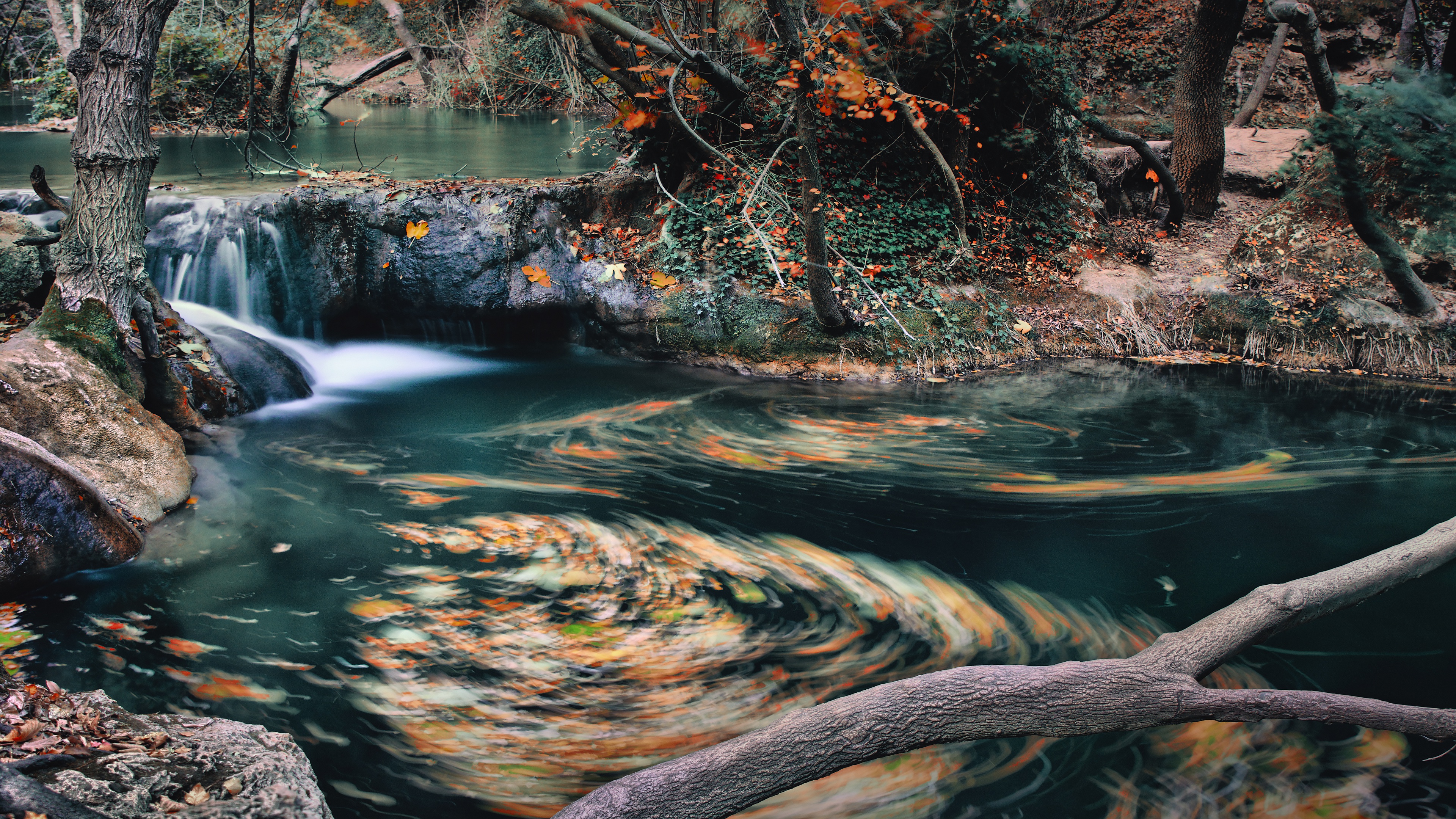 Laden Sie das Herbst, Blatt, Fluss, Erde/natur-Bild kostenlos auf Ihren PC-Desktop herunter