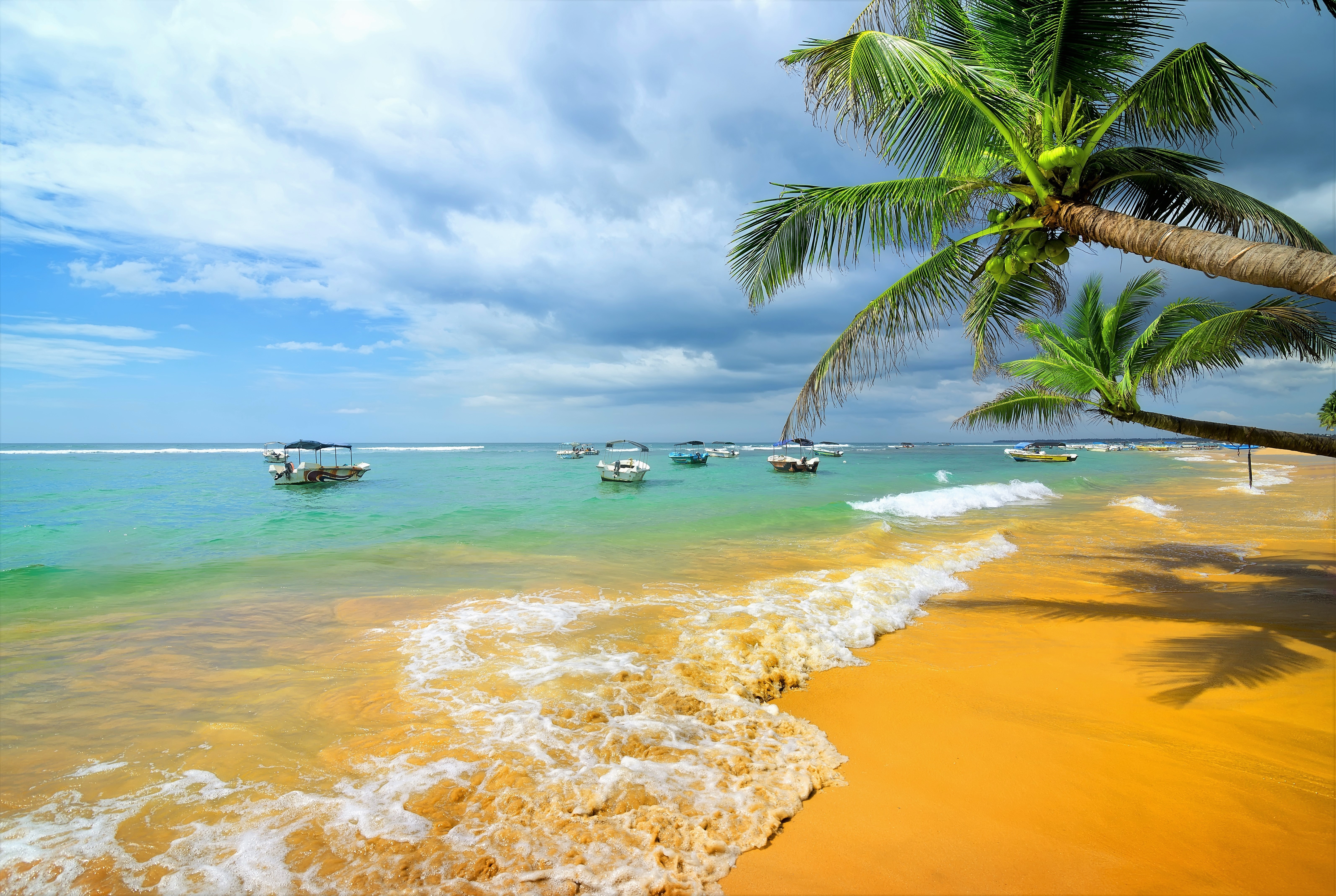 Descarga gratuita de fondo de pantalla para móvil de Mar, Playa, Horizonte, Océano, Barco, Fotografía, Palmera, Tropico.