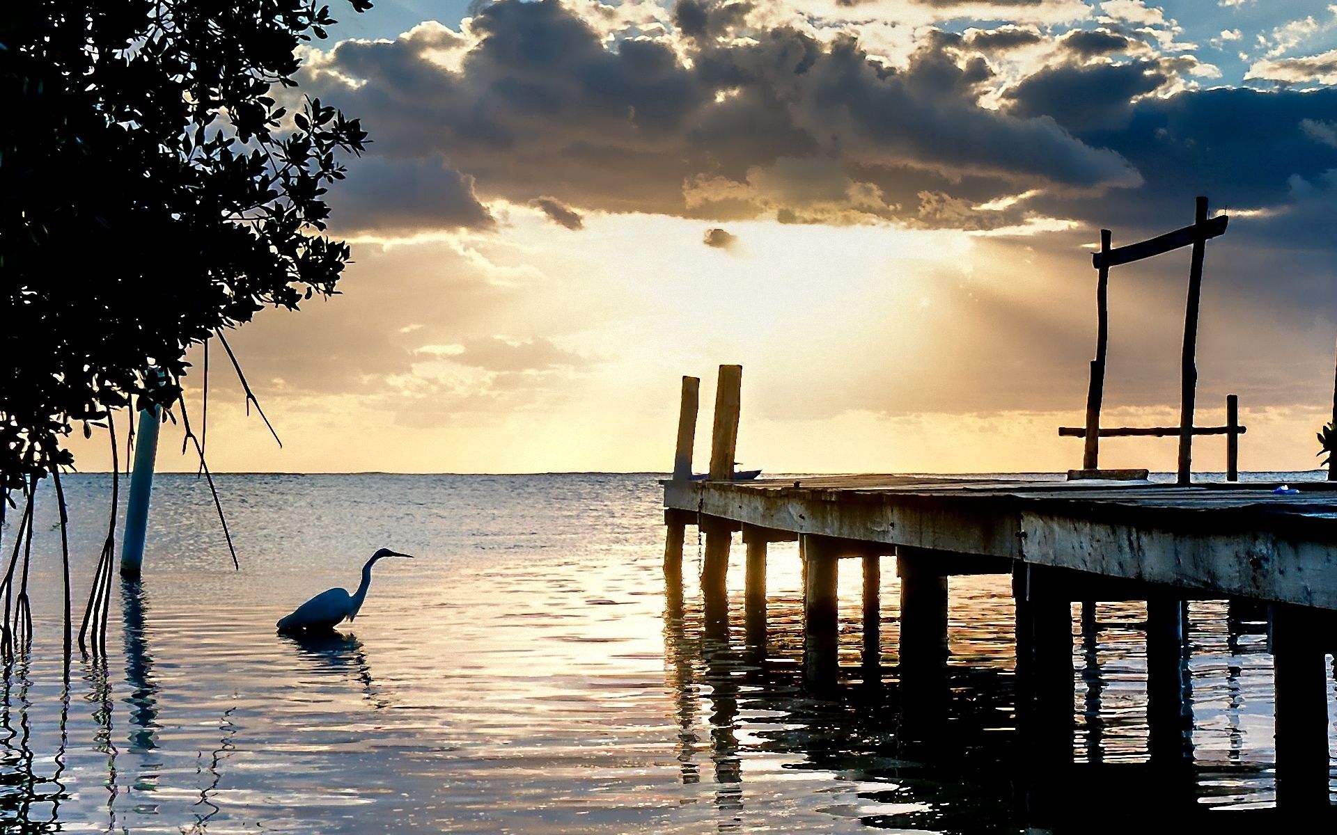 Free download wallpaper Heron, Lake, Evening, Nature, Pier on your PC desktop