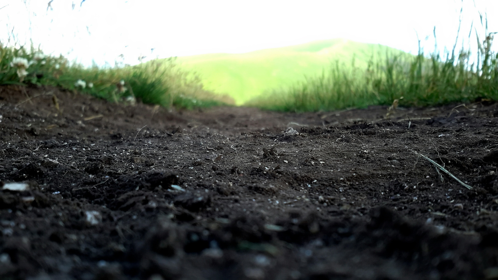 Download mobile wallpaper Blur, Close Up, Earth, Dirt for free.