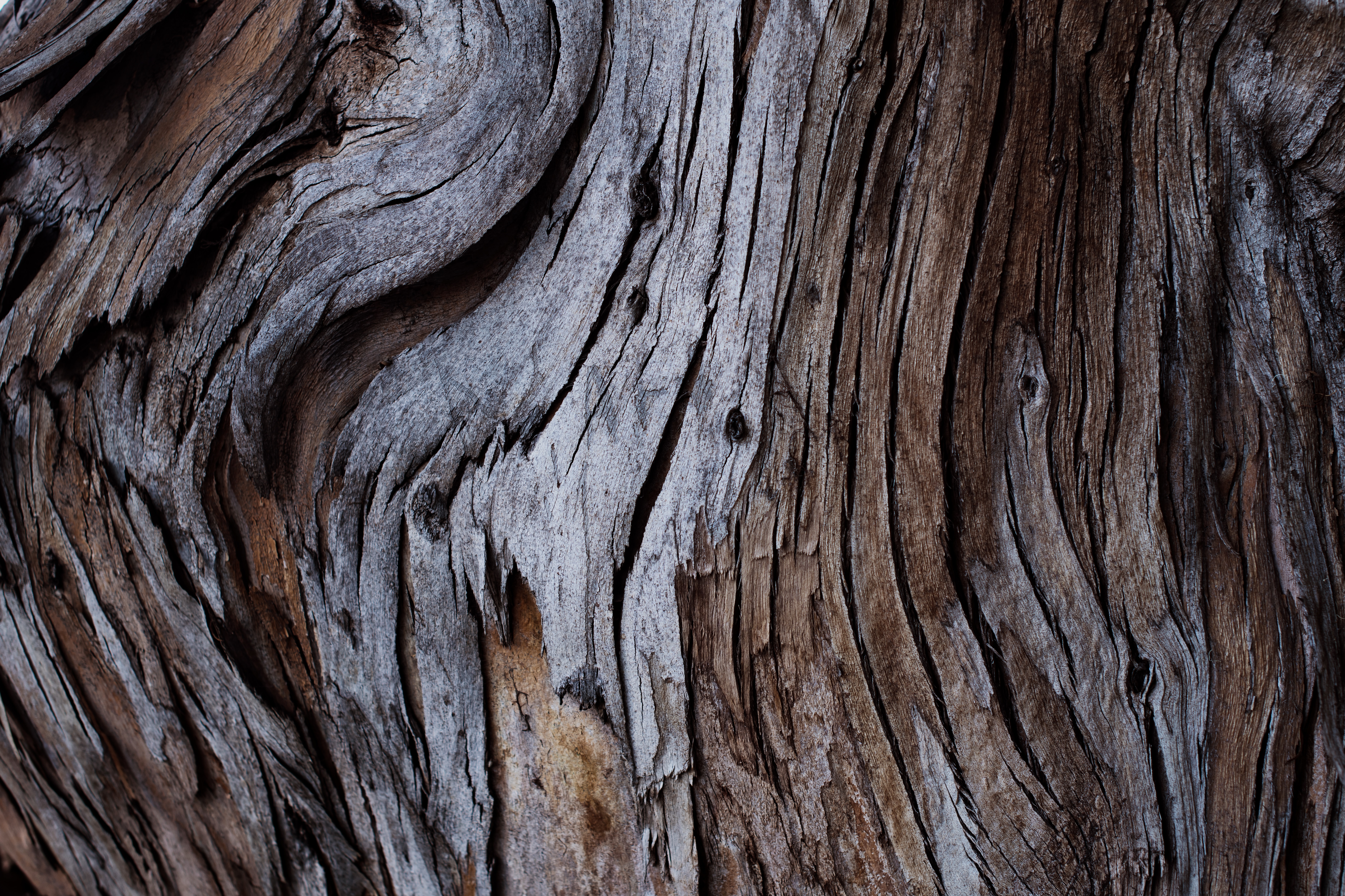 Download mobile wallpaper Wood, Tree, Bark, Cracks, Crack, Texture, Textures for free.