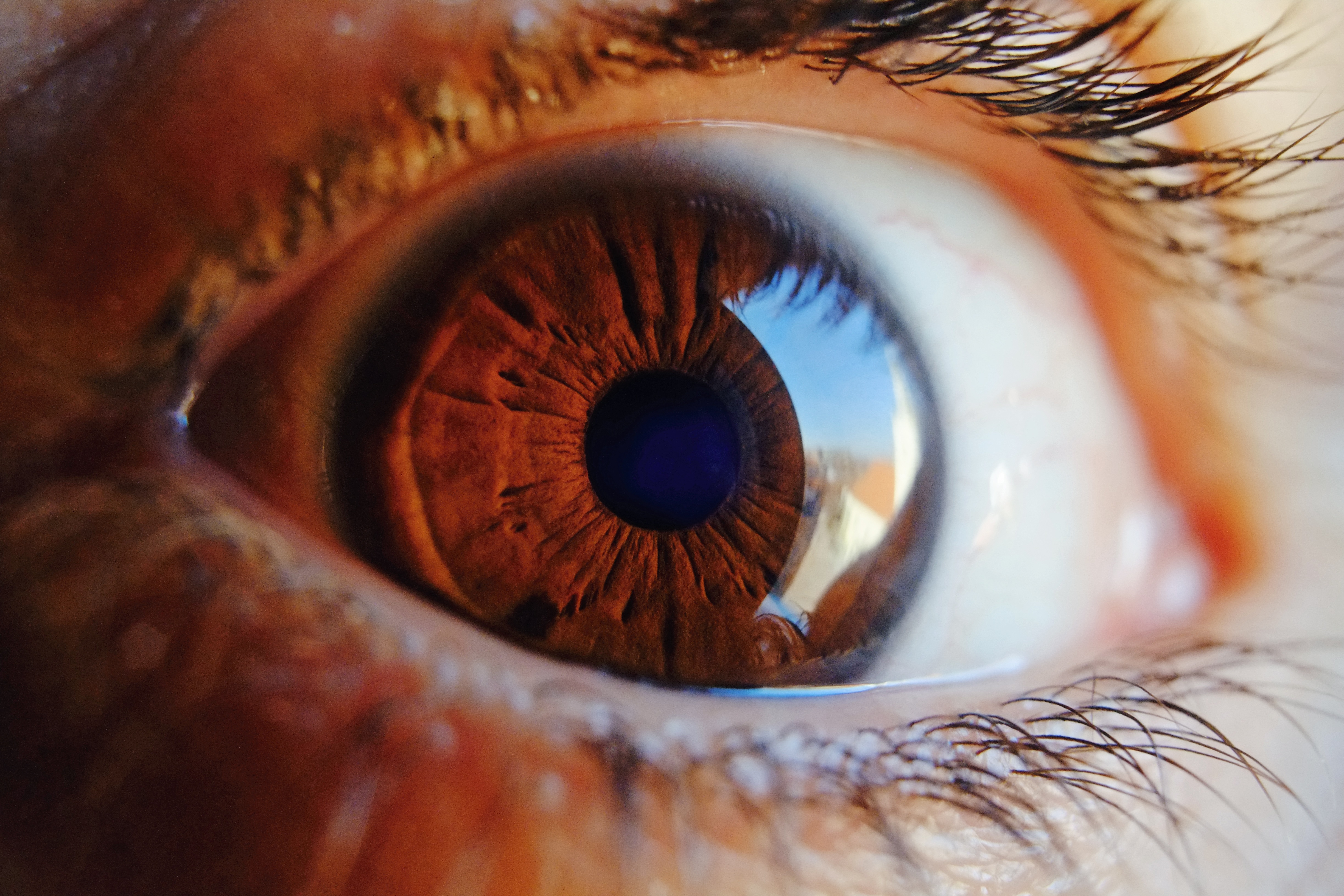 macro, glare, close up, brown, eye, pupil