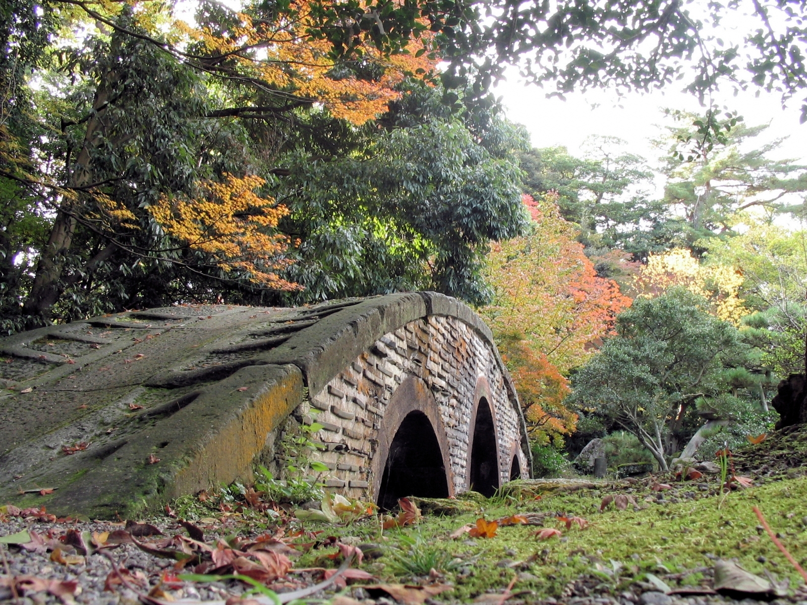 無料モバイル壁紙風景, 木, 橋, 秋をダウンロードします。