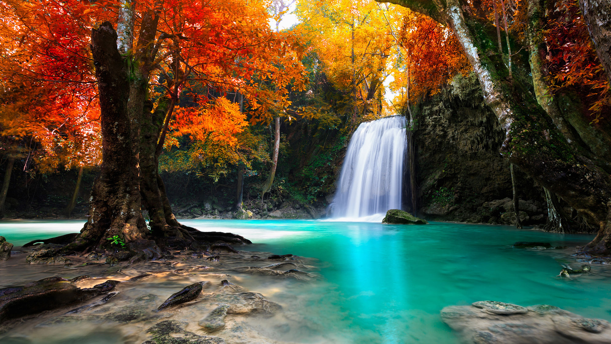 Скачать картинку Осень, Водопады, Водопад, Лес, Дерево, Земля/природа в телефон бесплатно.