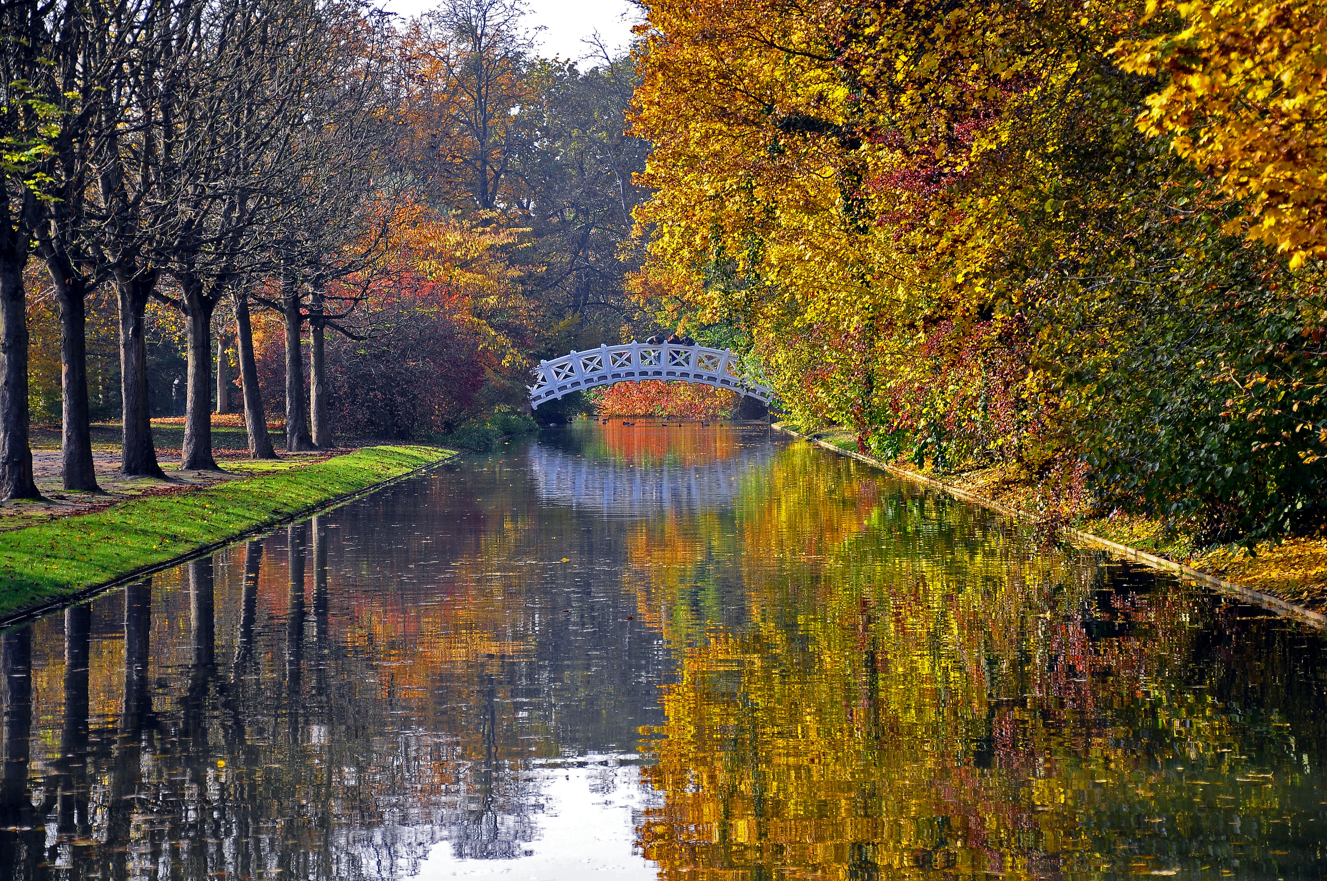 autumn, bridge, park, rivers, nature, trees, reflection QHD