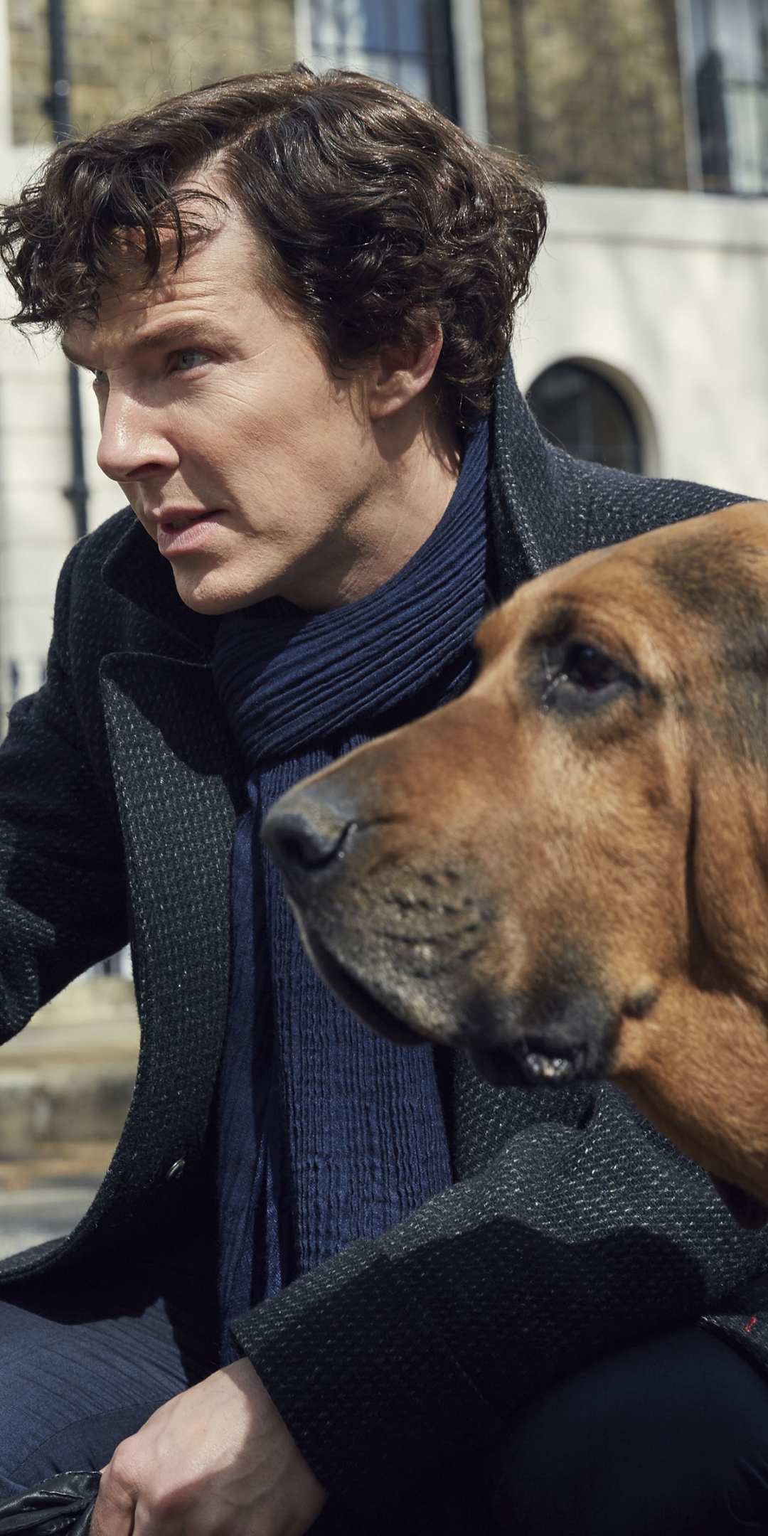 Baixar papel de parede para celular de Sherlock, Benedict Cumberbatch, Programa De Tv, Sherlock Holmes gratuito.