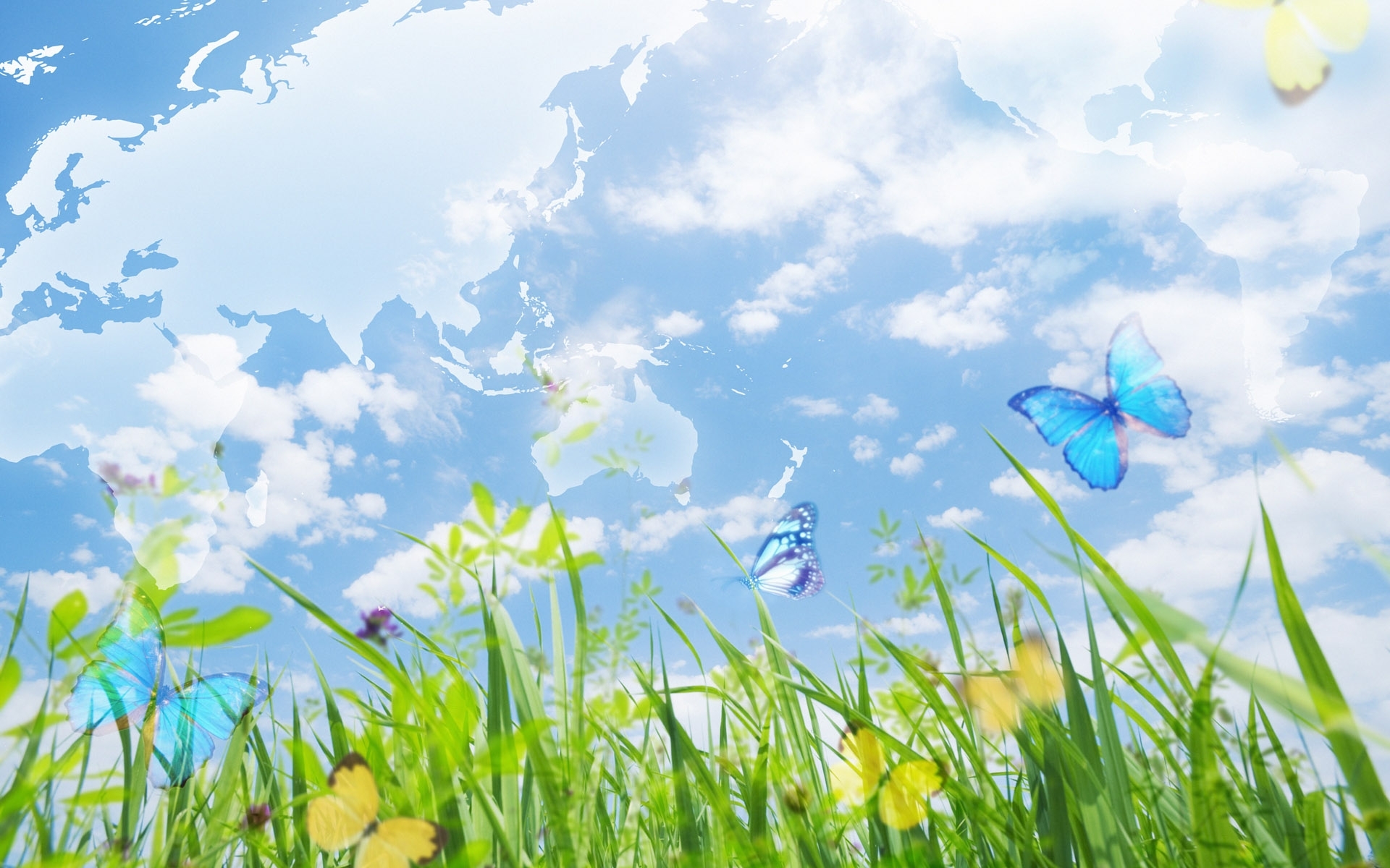 Скачать обои бесплатно Бабочки, Небо, Трава, Пейзаж картинка на рабочий стол ПК