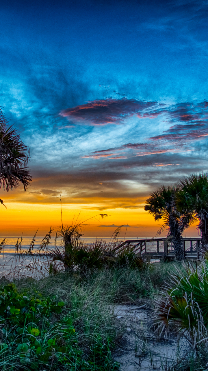 Descarga gratuita de fondo de pantalla para móvil de Playa, Horizonte, Tropical, Atardecer, Tierra/naturaleza, Palmera, Tropico, Puesta De Sol.