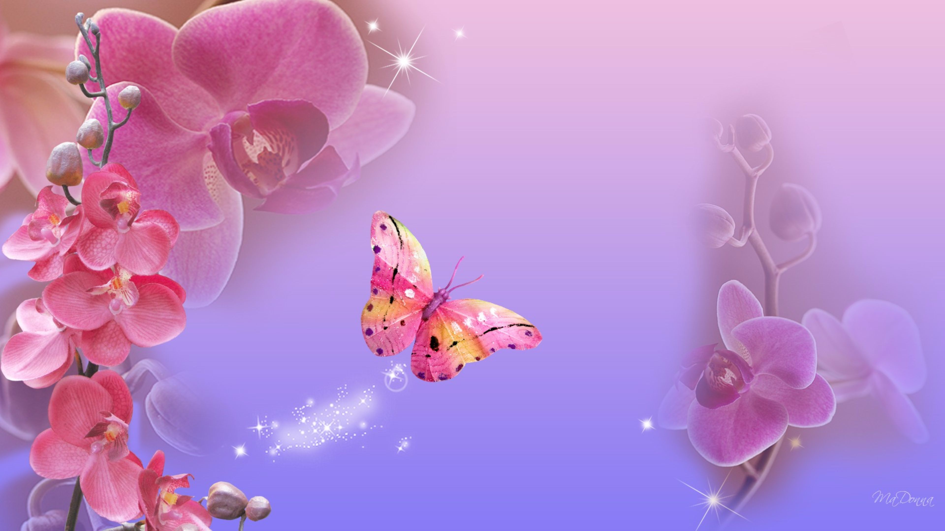 748894 descargar fondo de pantalla artístico, mariposa, flor, orquídea, flor rosa, destellos: protectores de pantalla e imágenes gratis