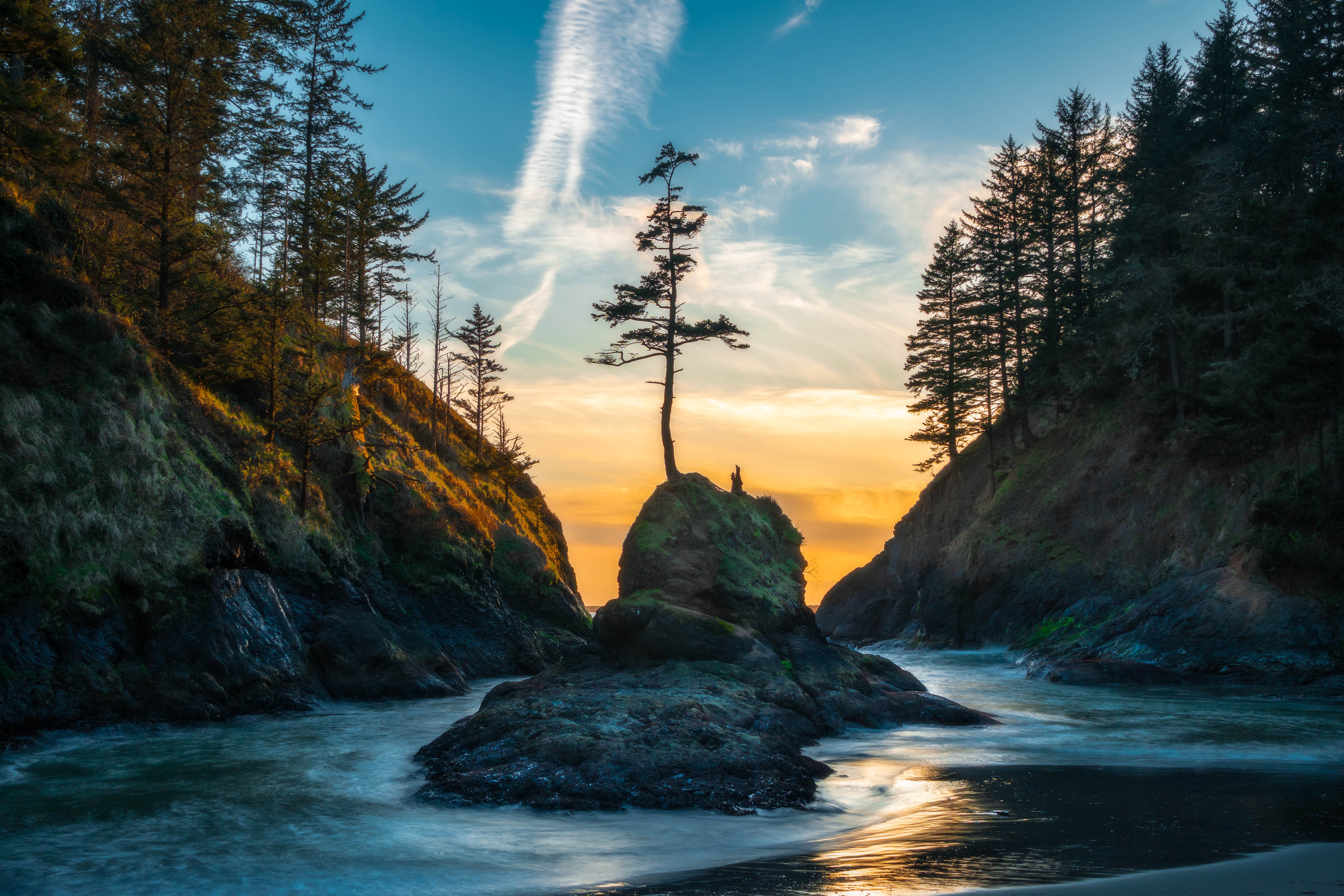 Free download wallpaper Tree, Earth, River on your PC desktop