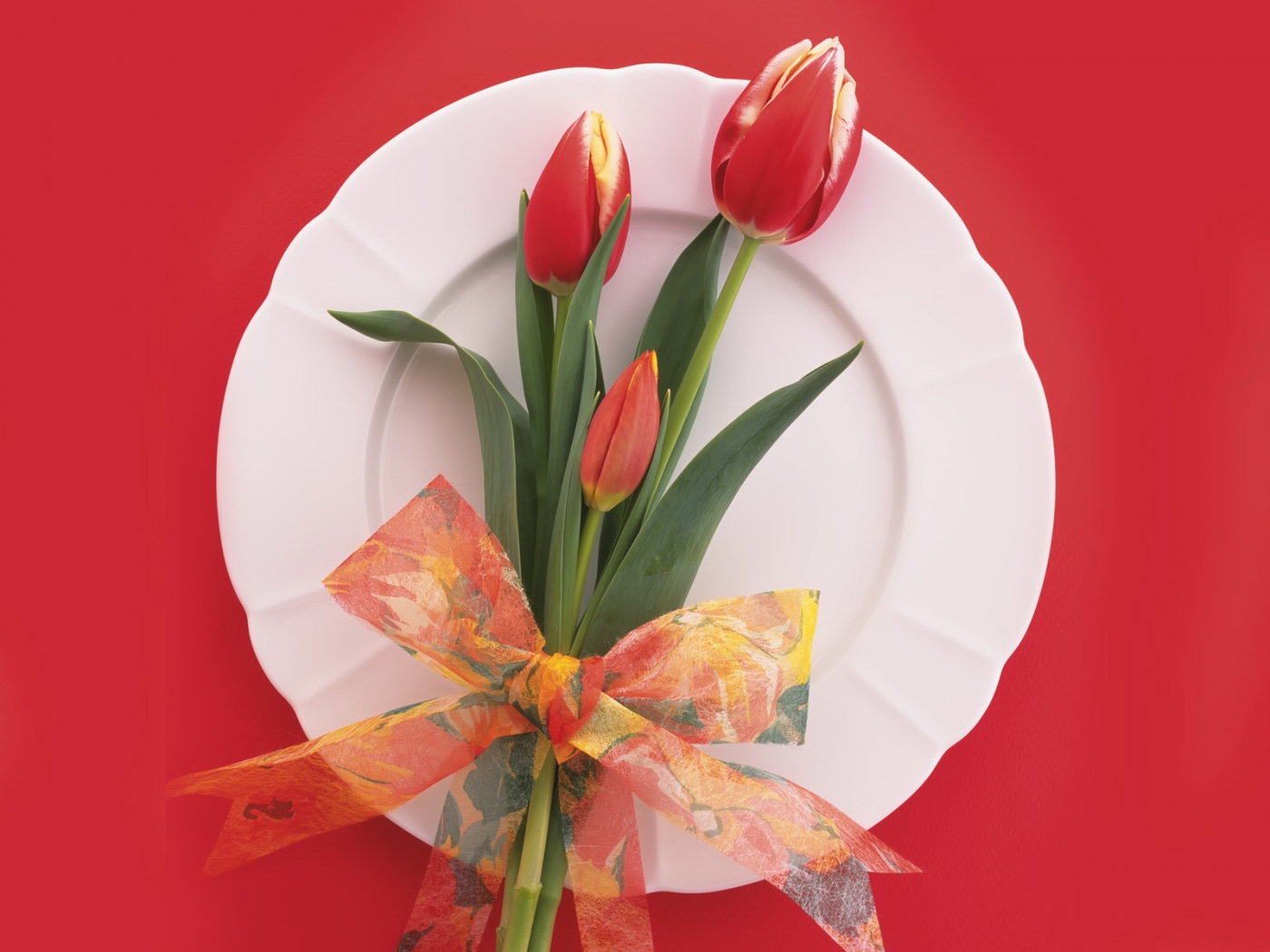 37286 descargar fondo de pantalla tulipanes, plantas, flores: protectores de pantalla e imágenes gratis