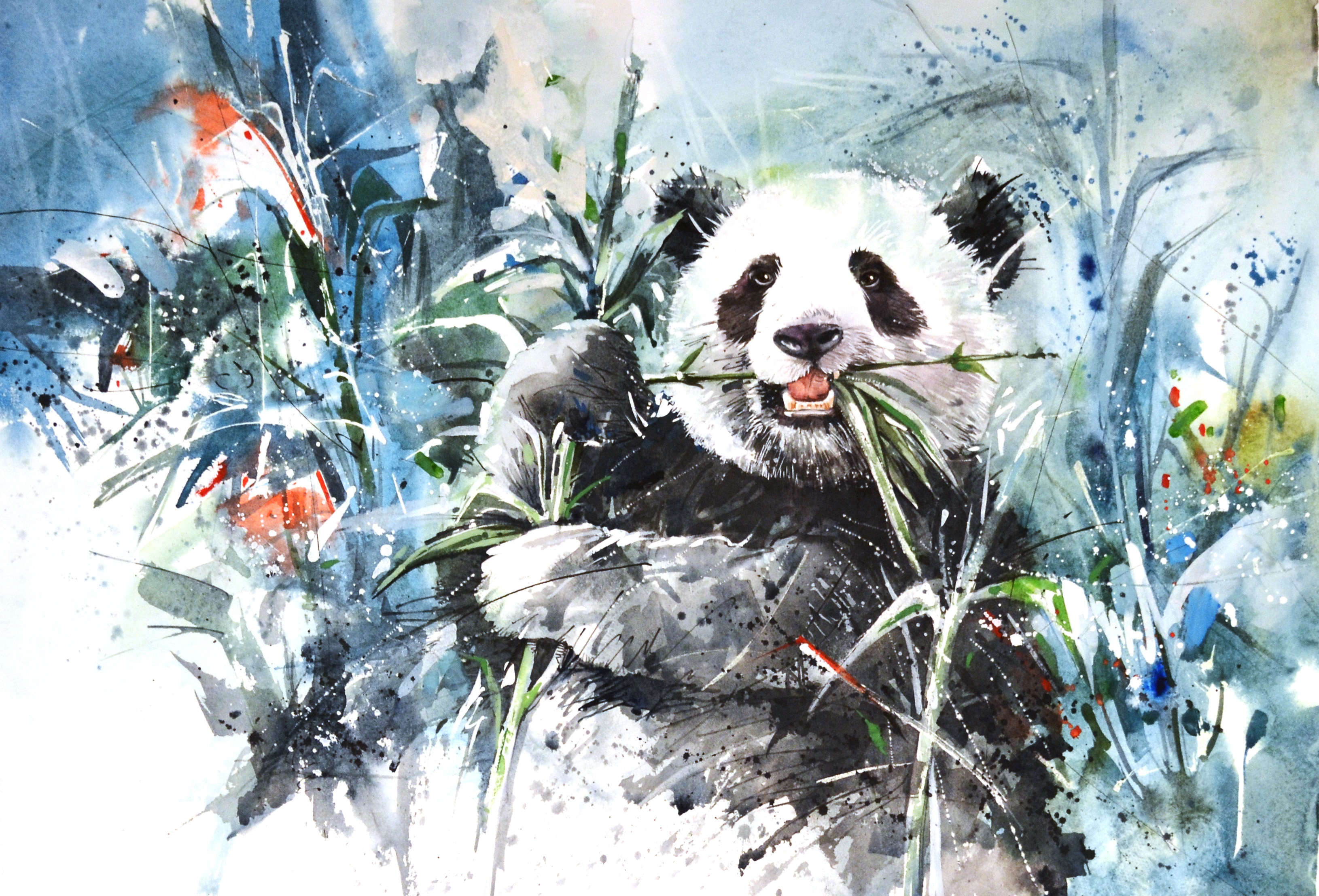 Free download wallpaper Animal, Panda on your PC desktop