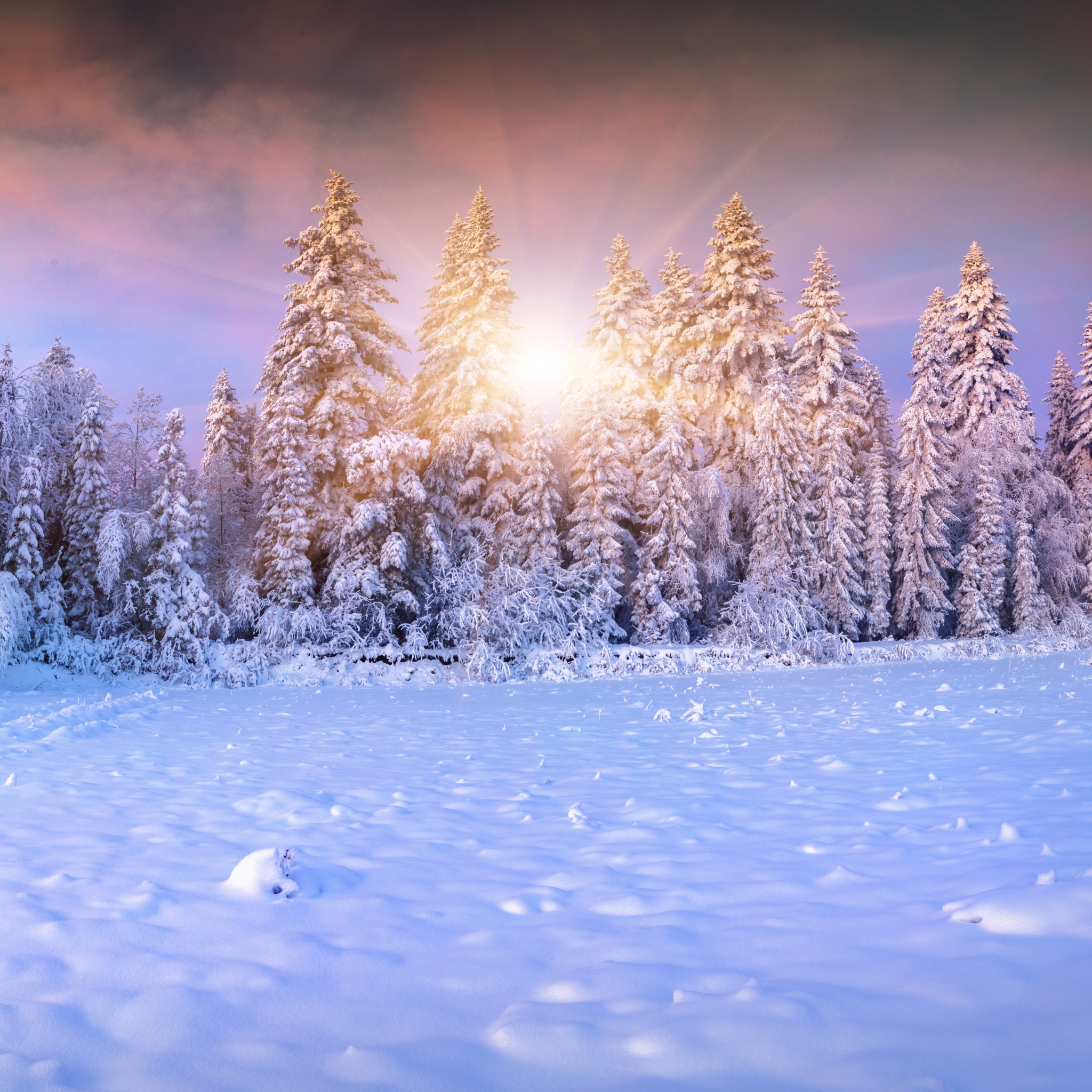 Download mobile wallpaper Landscape, Winter, Nature, Snow, Forest, Earth, Sunbeam, Sunbean for free.