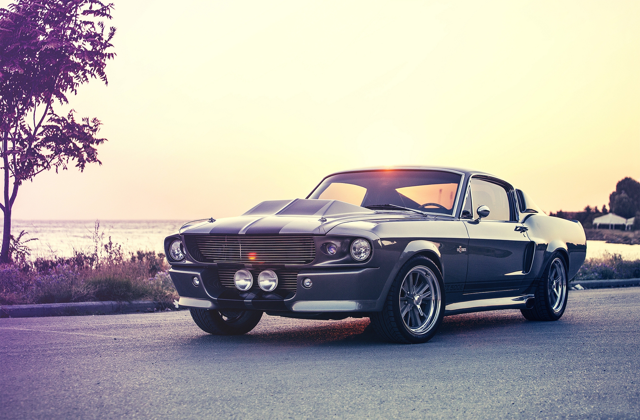 eleanor, ford, mustang, cars, shelby, gt500e