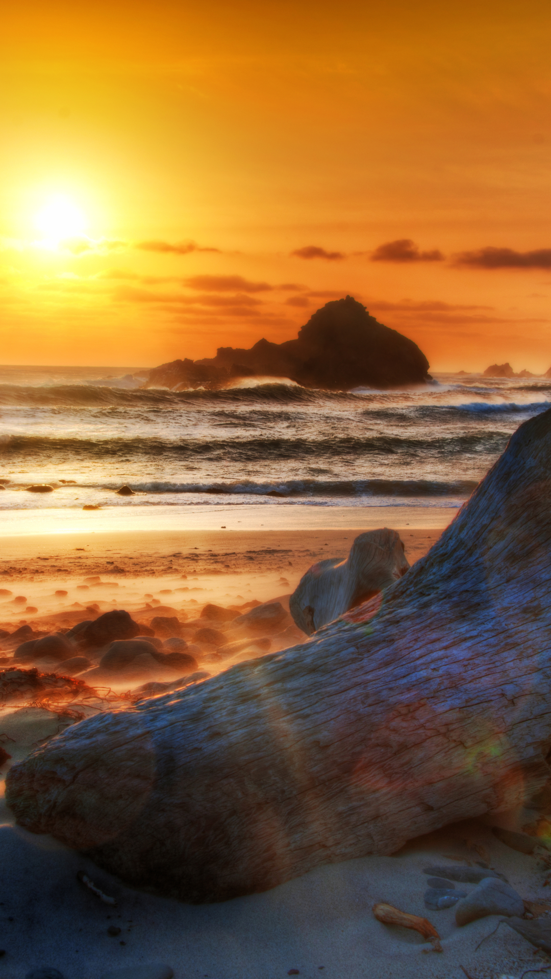 Download mobile wallpaper Sunset, Sky, Sea, Earth, California, Wave, Driftwood, Seascape, Sunshine, Seashore for free.