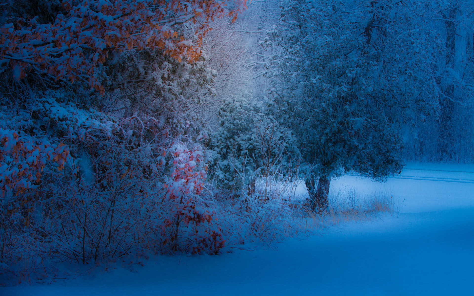 Téléchargez gratuitement l'image Hiver, Terre/nature sur le bureau de votre PC