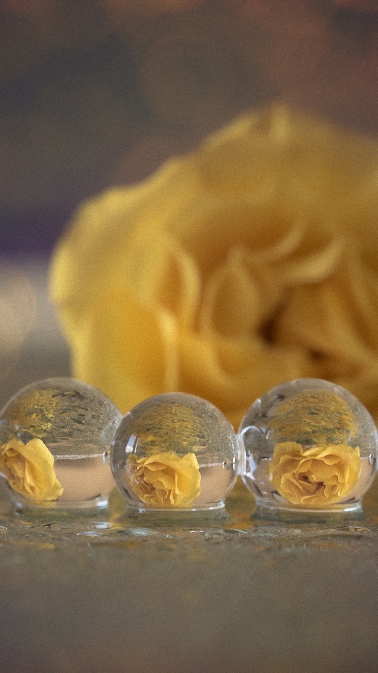 Download mobile wallpaper Nature, Reflection, Flower, Macro, Earth, Bokeh, Yellow Flower, Water Drop for free.